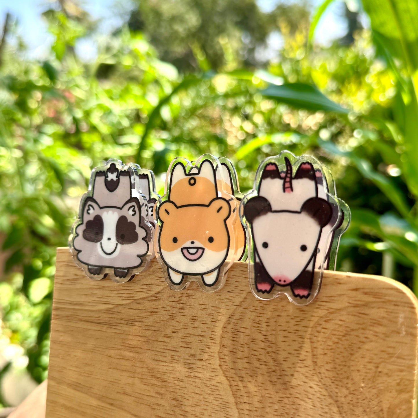 Raccoon Acrylic Clip Binder Clip Cute Double Sided Design Acrylic Gift Accessories Chip Organize Office Desk (Removable Film on both sides)