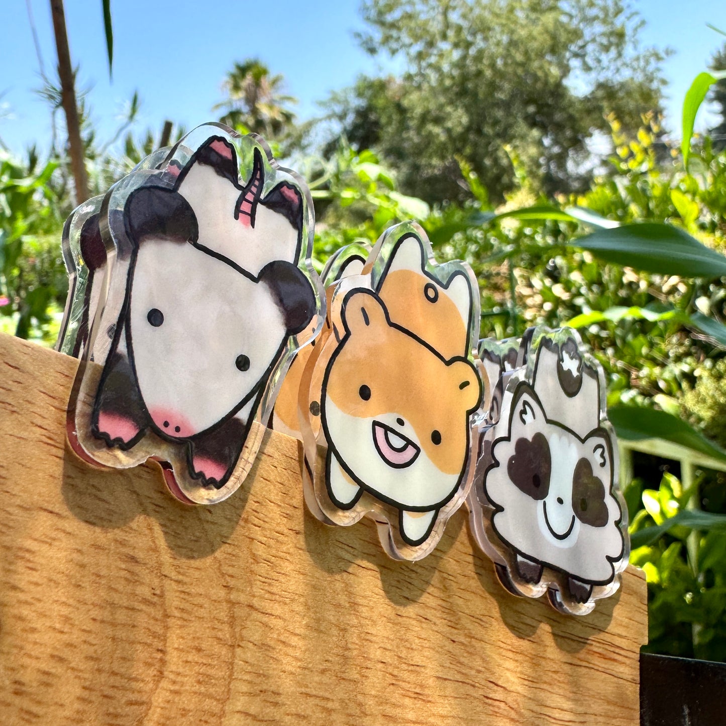 Raccoon Acrylic Clip Binder Clip Cute Double Sided Design Acrylic Gift Accessories Chip Organize Office Desk (Removable Film on both sides)