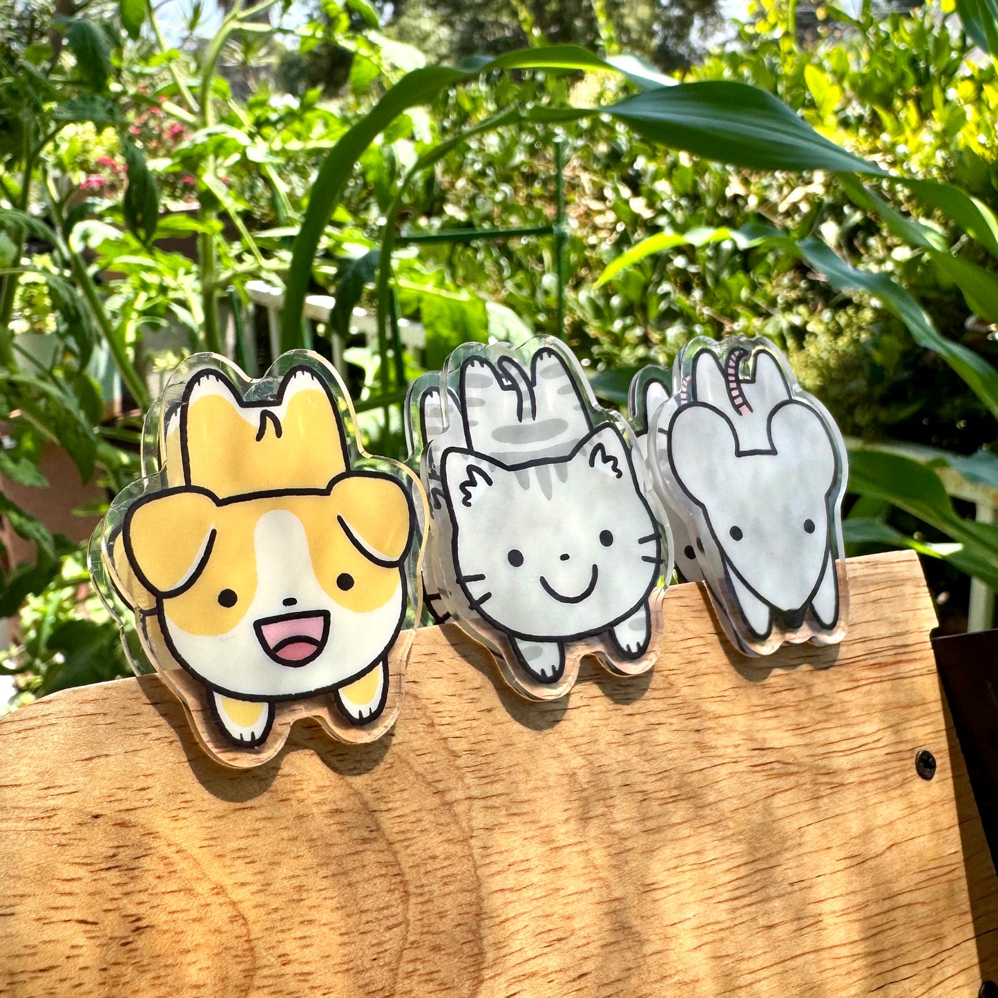 Cat Acrylic Clip Binder Clip Cute Double Sided Design Acrylic Gift Accessories Chip Organize Office Desk (Removable Film on both sides)