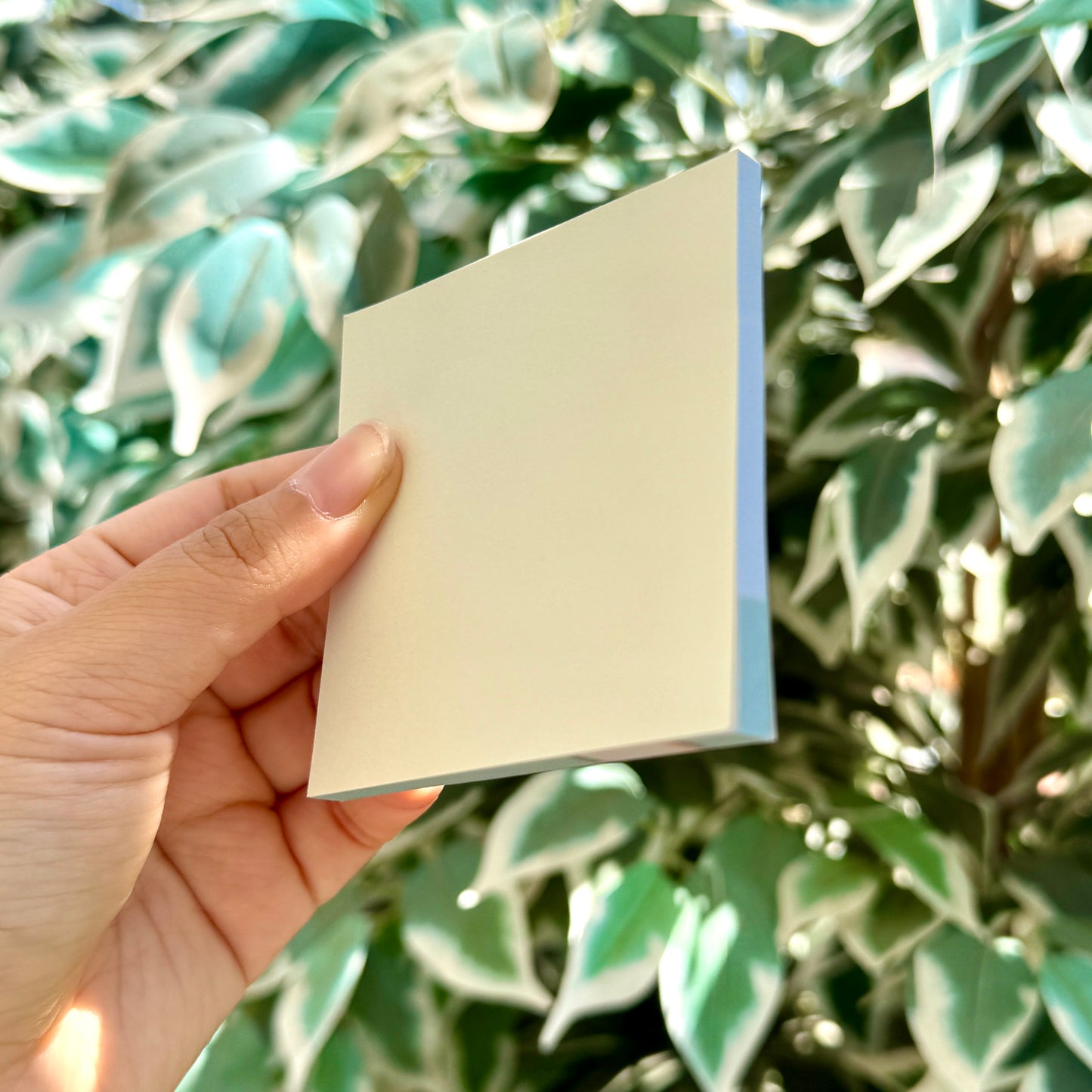 Hamster You're Gonna Forget. Write It Down. | Funny Cute Sticky Note | Gifts Under 10 | Novelty Stationary Present | For Office School