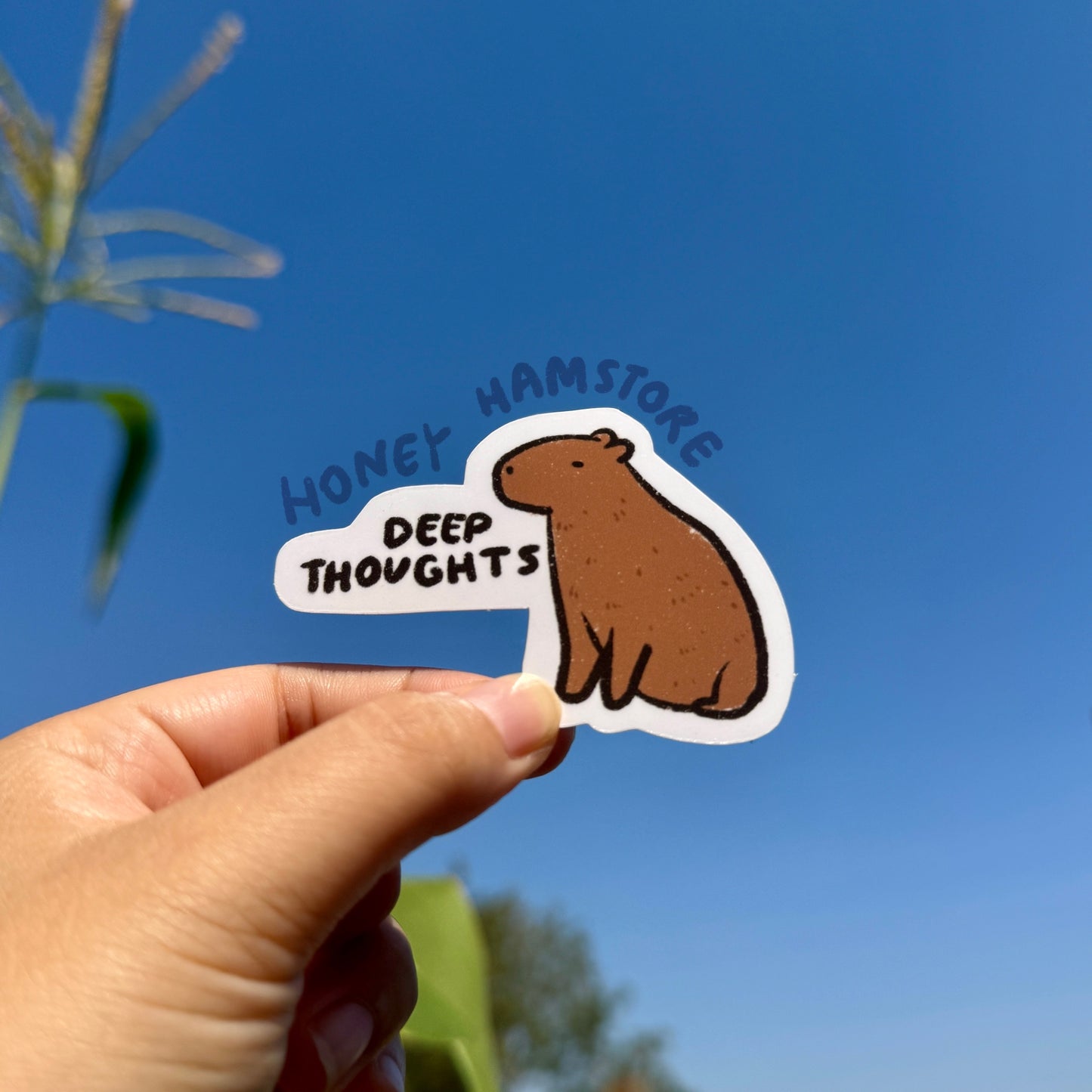 Capybara Sticker Set | Funny and Cute Laptop Sticker | Gifts under 5 | Water Resistant | Water Bottle | Vinyl Durable Hand-drawn