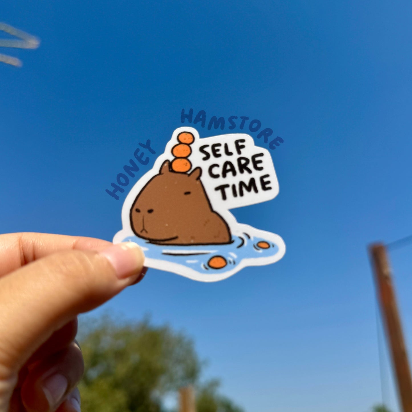 Capybara Sticker Set | Funny and Cute Laptop Sticker | Gifts under 5 | Water Resistant | Water Bottle | Vinyl Durable Hand-drawn