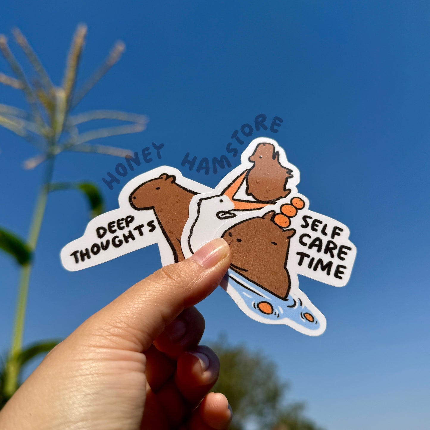 Capybara Sticker Set | Funny and Cute Laptop Sticker | Gifts under 5 | Water Resistant | Water Bottle | Vinyl Durable Hand-drawn