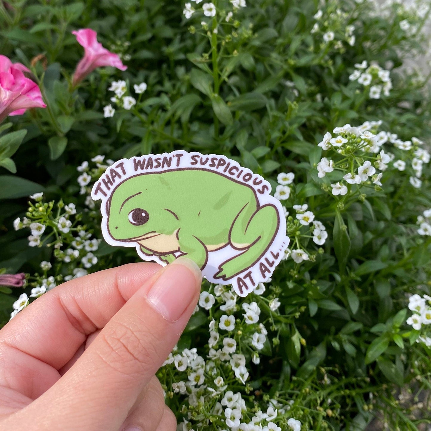 Frog That Wasn't Suspicious | Funny Sticker | Froggy Sticker | Gifts under 10 | Water Resistant Sticker Decal | Water Bottle | Laptop | Joke