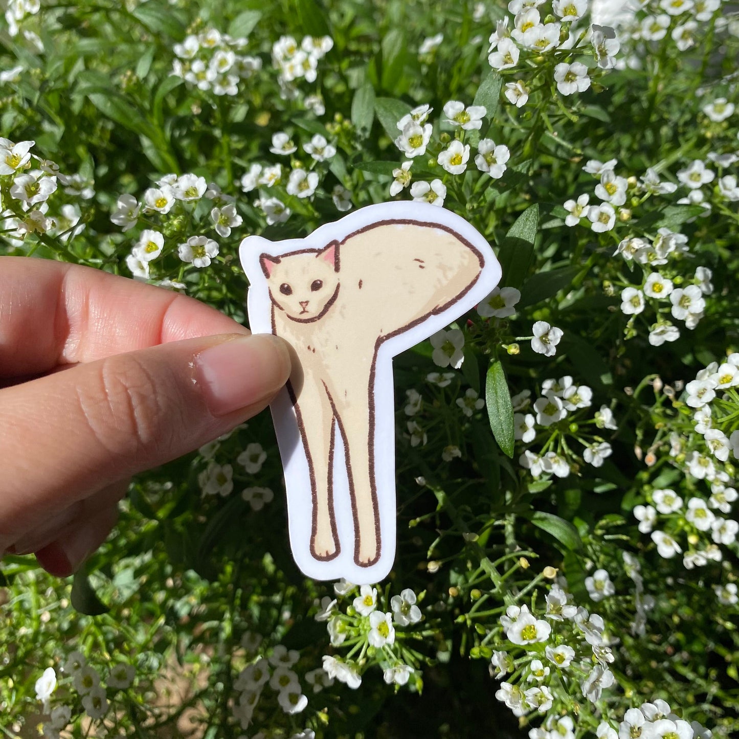 Cat Meme Sticker Set of 5 | Series 2 | Funny Sticker | Gifts under 10 | Water Resistant Sticker | Water Bottle | Joke | Laptop | Cute