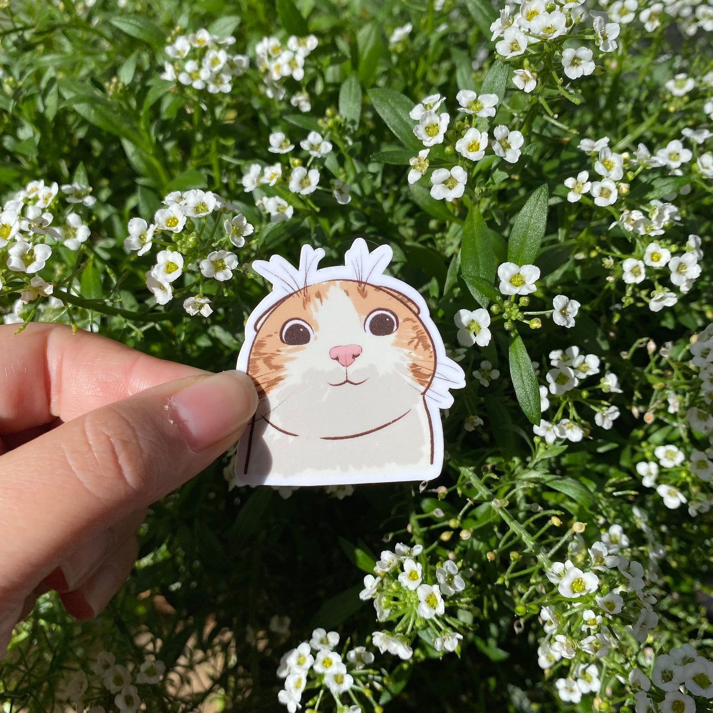 Cat Meme Sticker Set of 5 | Series 2 | Funny Sticker | Gifts under 10 | Water Resistant Sticker | Water Bottle | Joke | Laptop | Cute