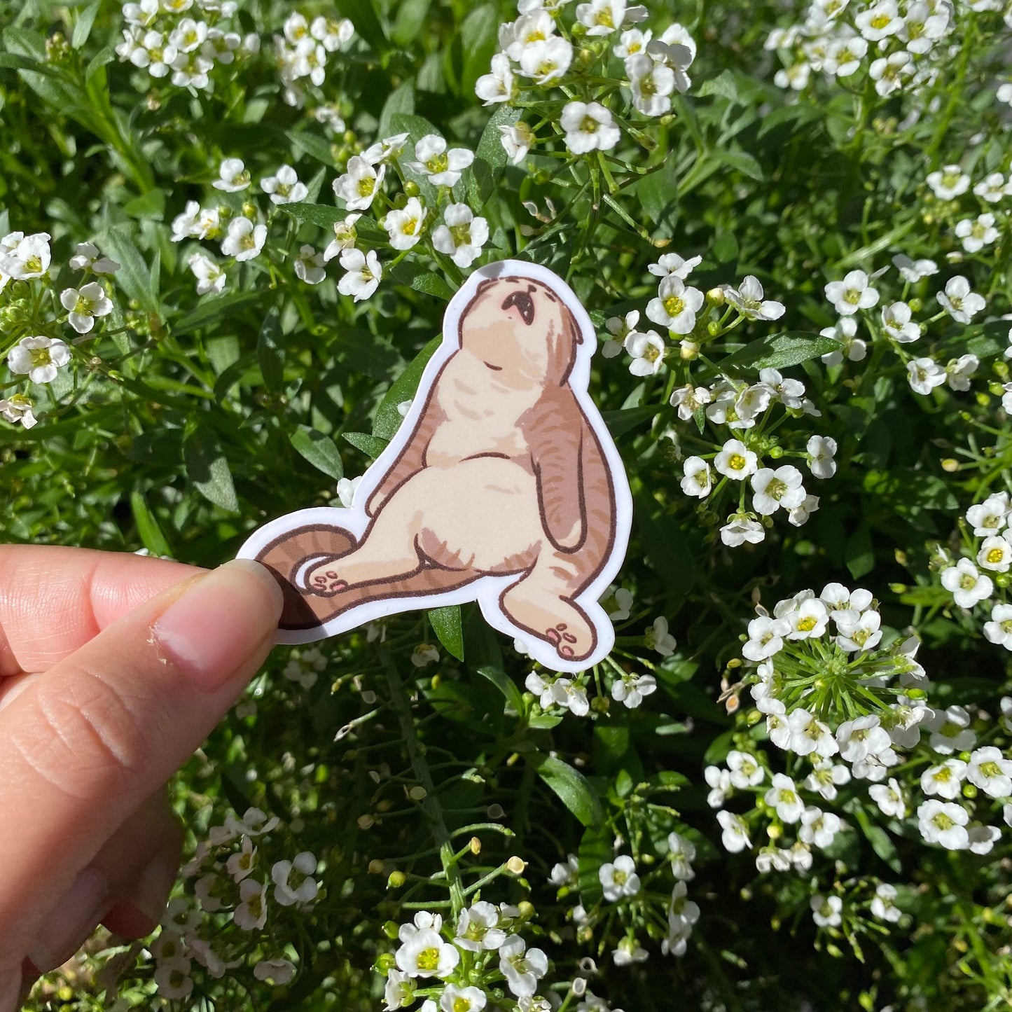 Cat Meme Sticker Set of 5 | Series 2 | Funny Sticker | Gifts under 10 | Water Resistant Sticker | Water Bottle | Joke | Laptop | Cute