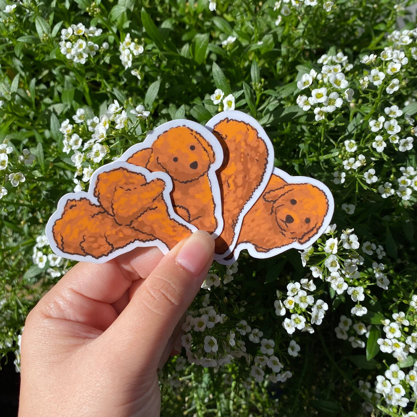 Labradoodle or Fried Chicken Set | Funny Sticker | Gifts under 10 | Water Resistant Sticker | Water Bottle | Joke | Laptop | Cute Sticker