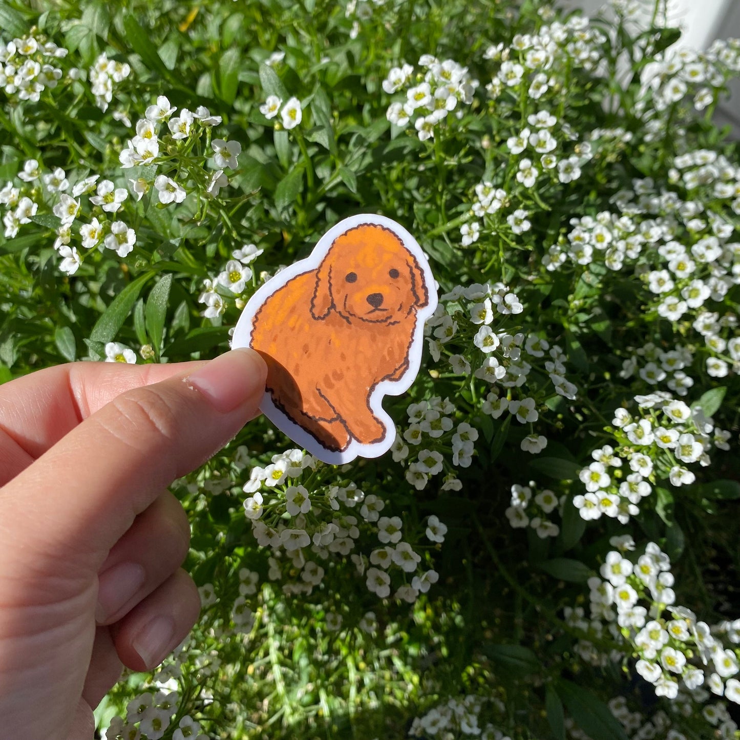 Labradoodle or Fried Chicken Set | Funny Sticker | Gifts under 10 | Water Resistant Sticker | Water Bottle | Joke | Laptop | Cute Sticker