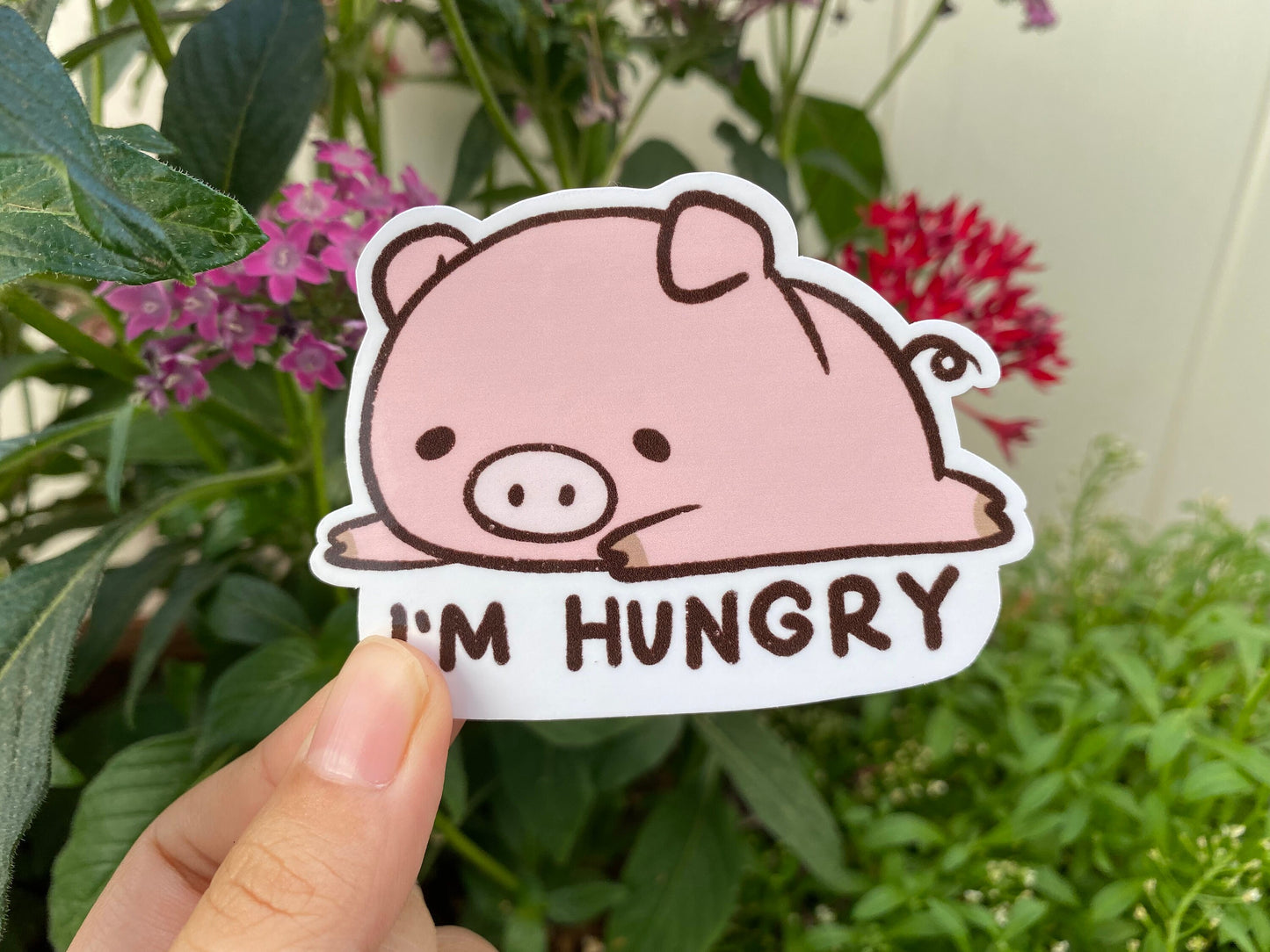 I'm Hungry | Funny Cute Pig Piglet Sticker | Laminated | Water Bottle Sticker | Laptop Sticker Decal