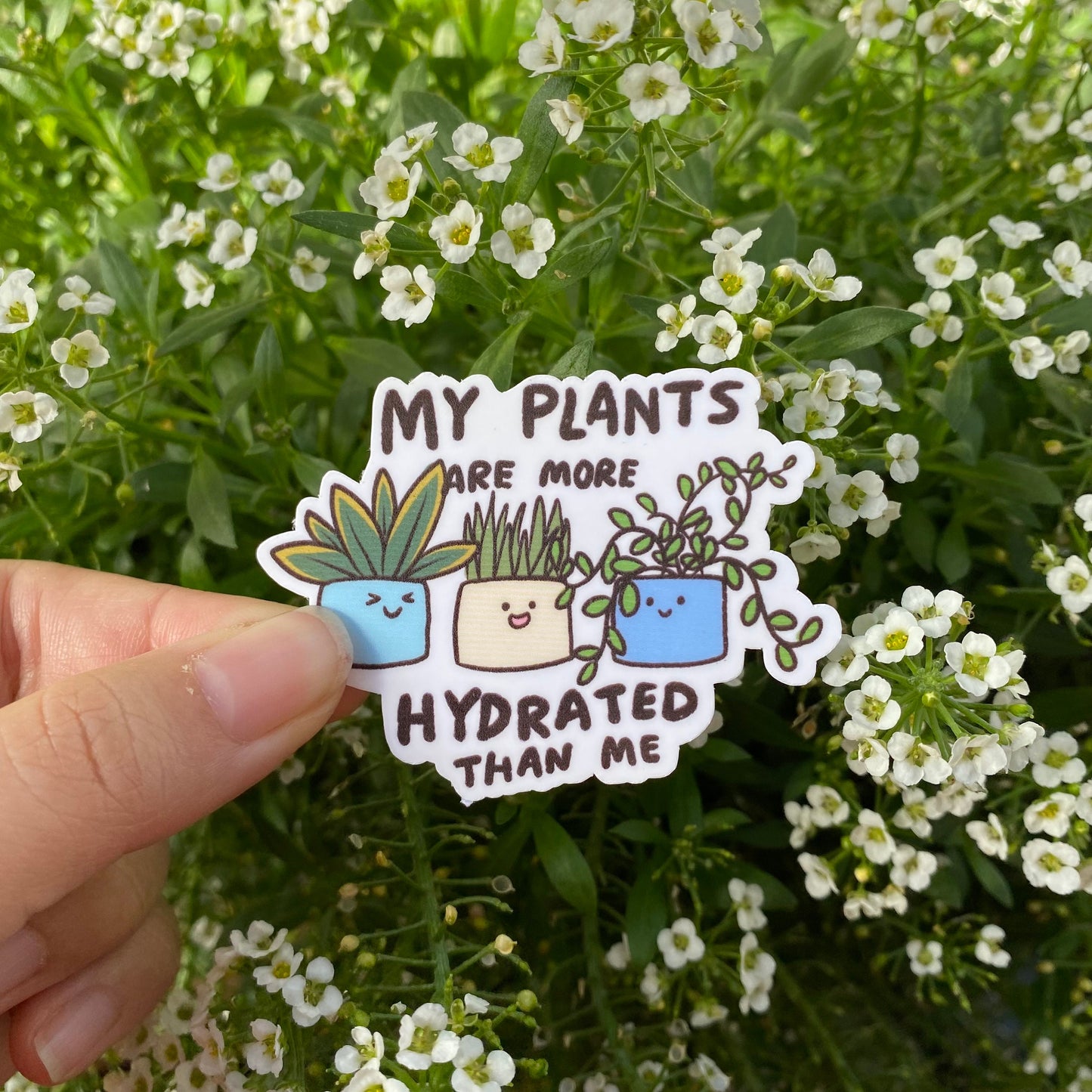 My Plants are More Hydrated Than Me Sticker | Funny Sticker | Gifts under 10 | Water Resistant Sticker | Water Bottle | Joke | Laptop