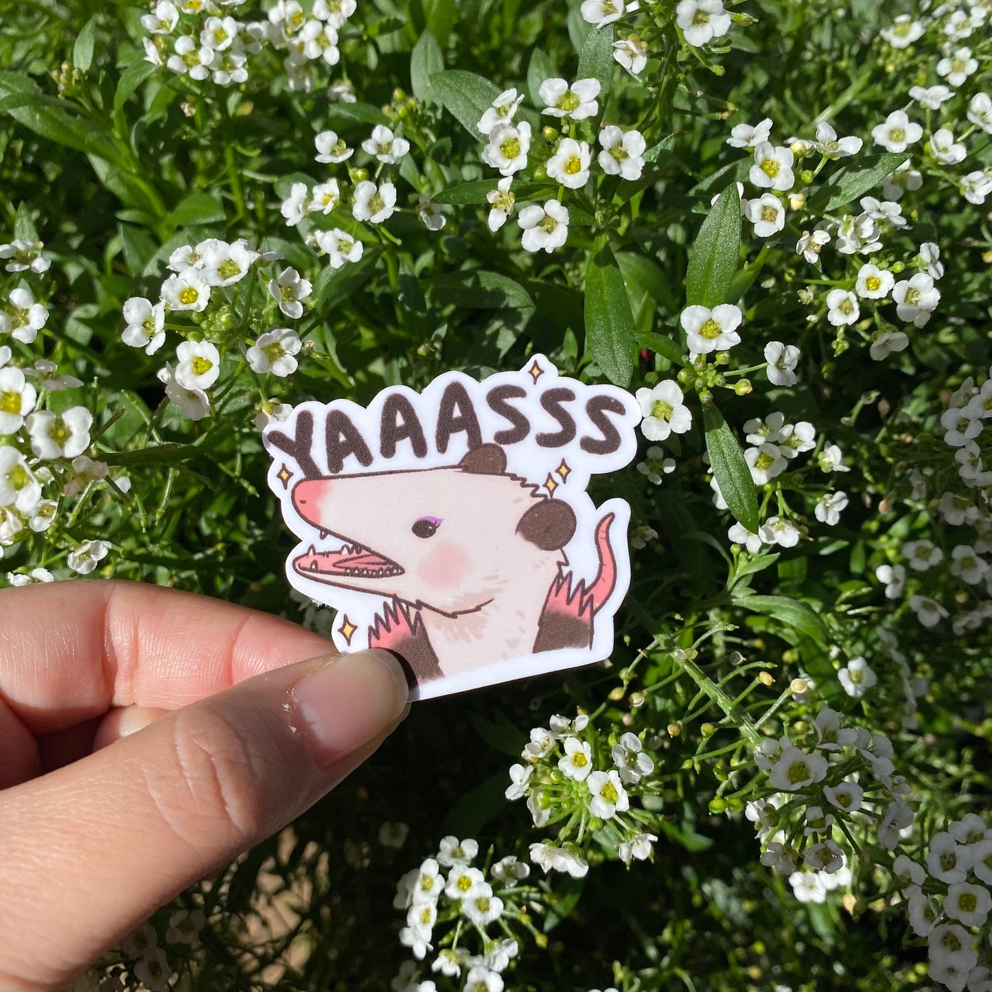 Yaaasss Sticker | Funny Sticker | Gifts under 10 | Water Resistant Sticker | Water Bottle | Joke | Laptop | Cute Sticker