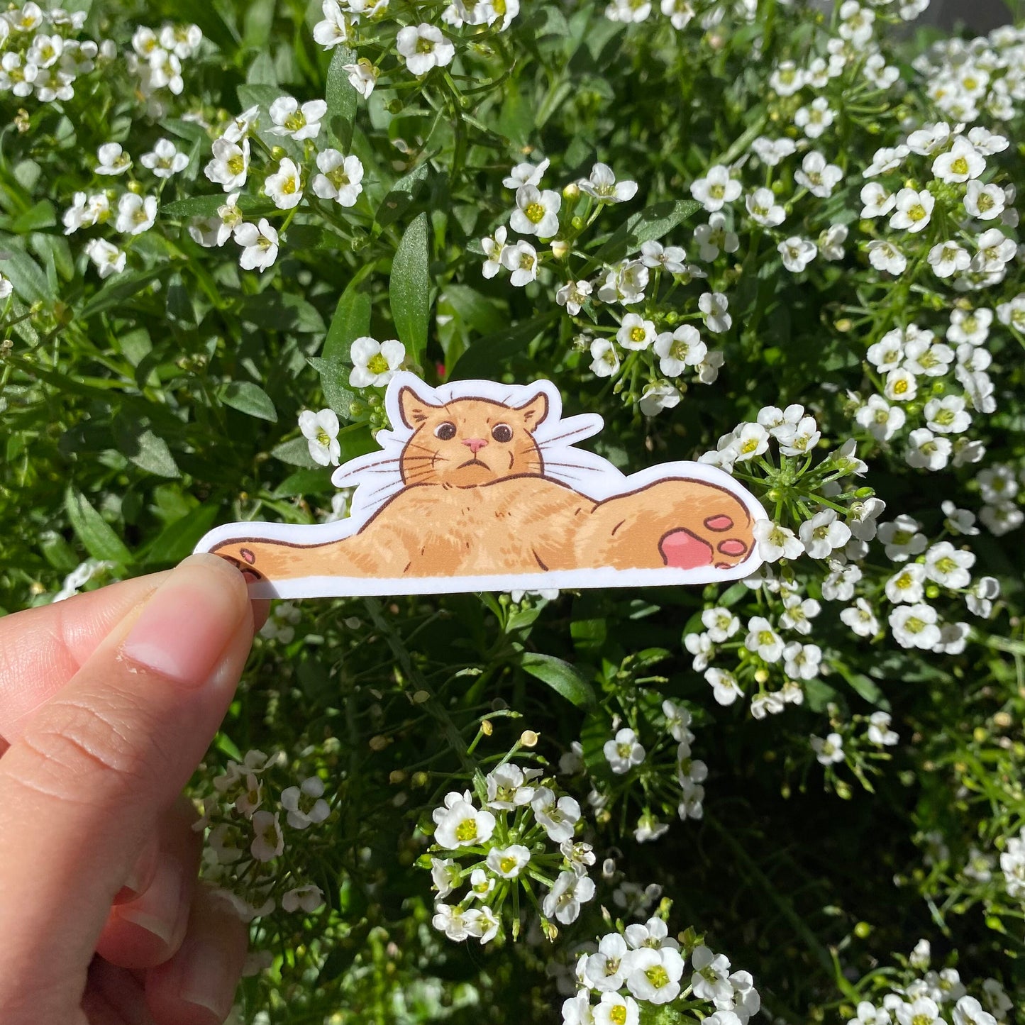 Cat Meme Sticker Set of 5 | Series 2 | Funny Sticker | Gifts under 10 | Water Resistant Sticker | Water Bottle | Joke | Laptop | Cute