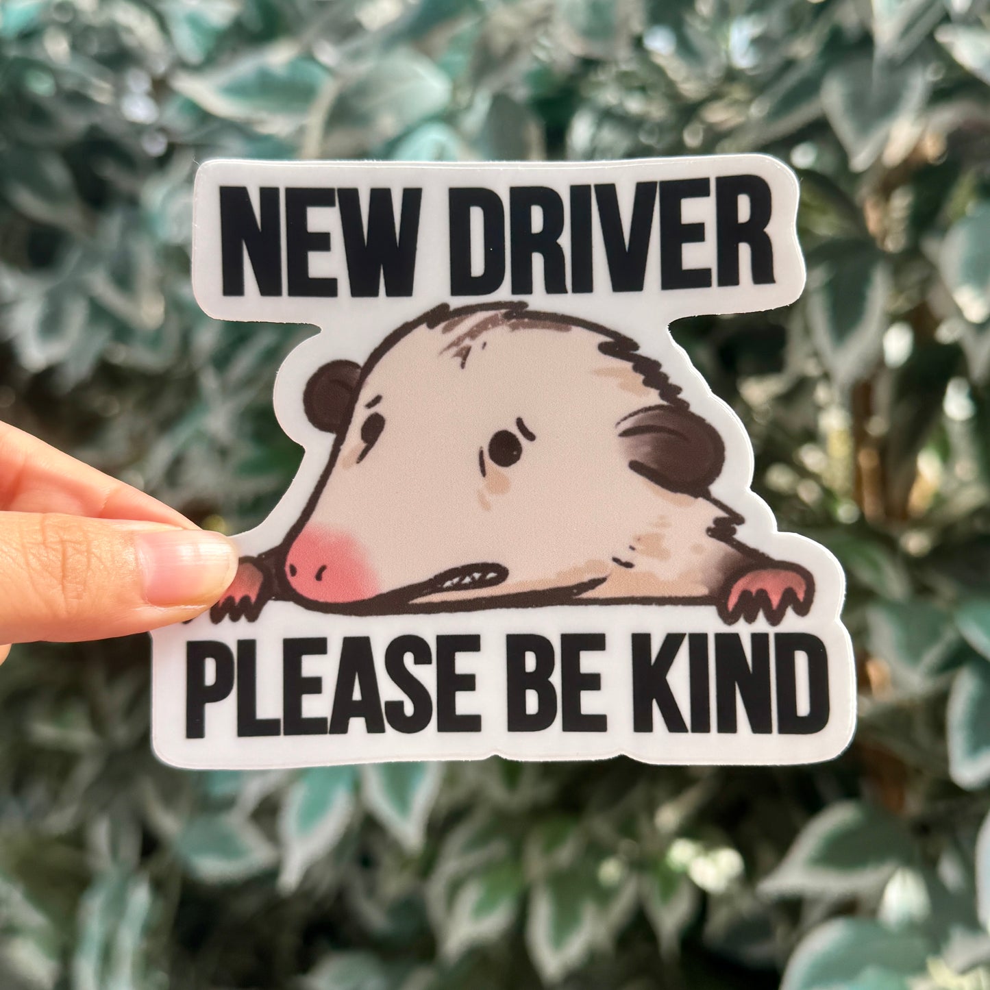 Cute [Weather & Water Proof] Opossum Possum Bumper Sticker | Nervous Anxious | Student Driver | New Driver | Car Decal | Funny Car Sticker