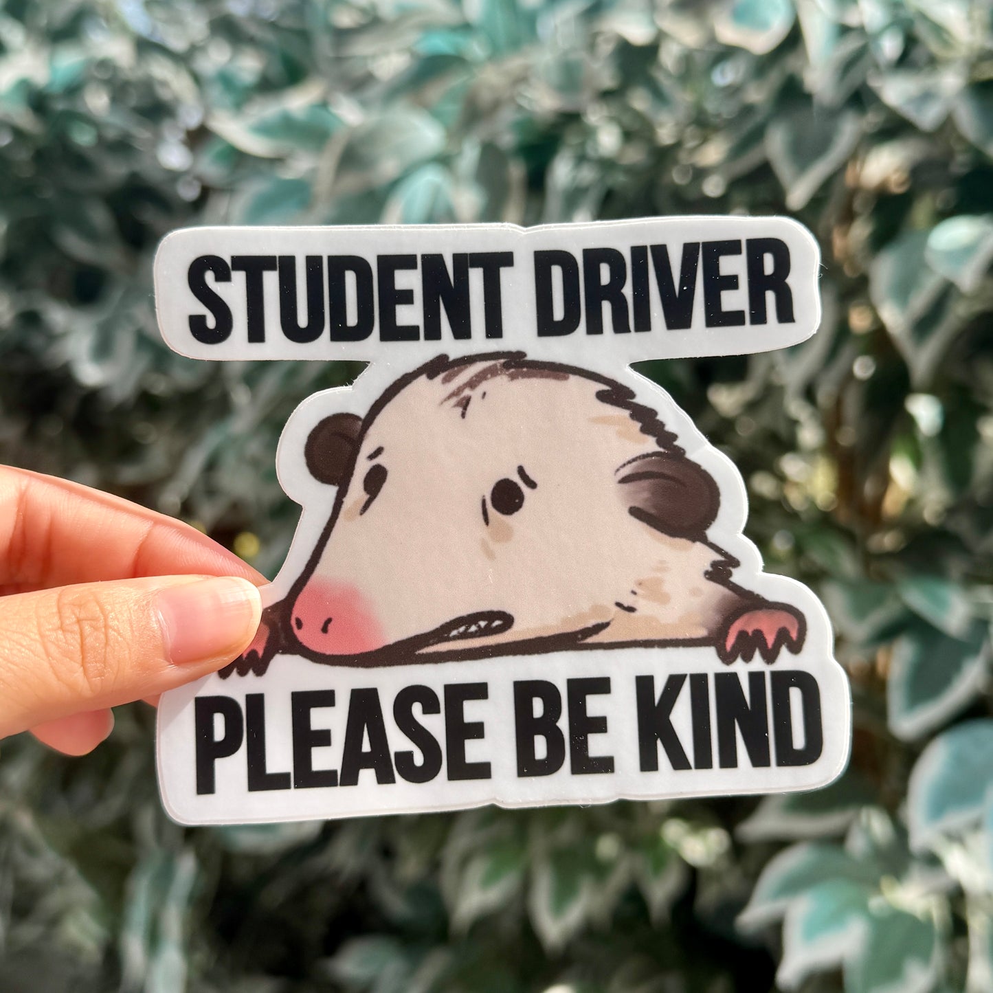 Cute [Weather & Water Proof] Opossum Possum Bumper Sticker | Nervous Anxious | Student Driver | New Driver | Car Decal | Funny Car Sticker