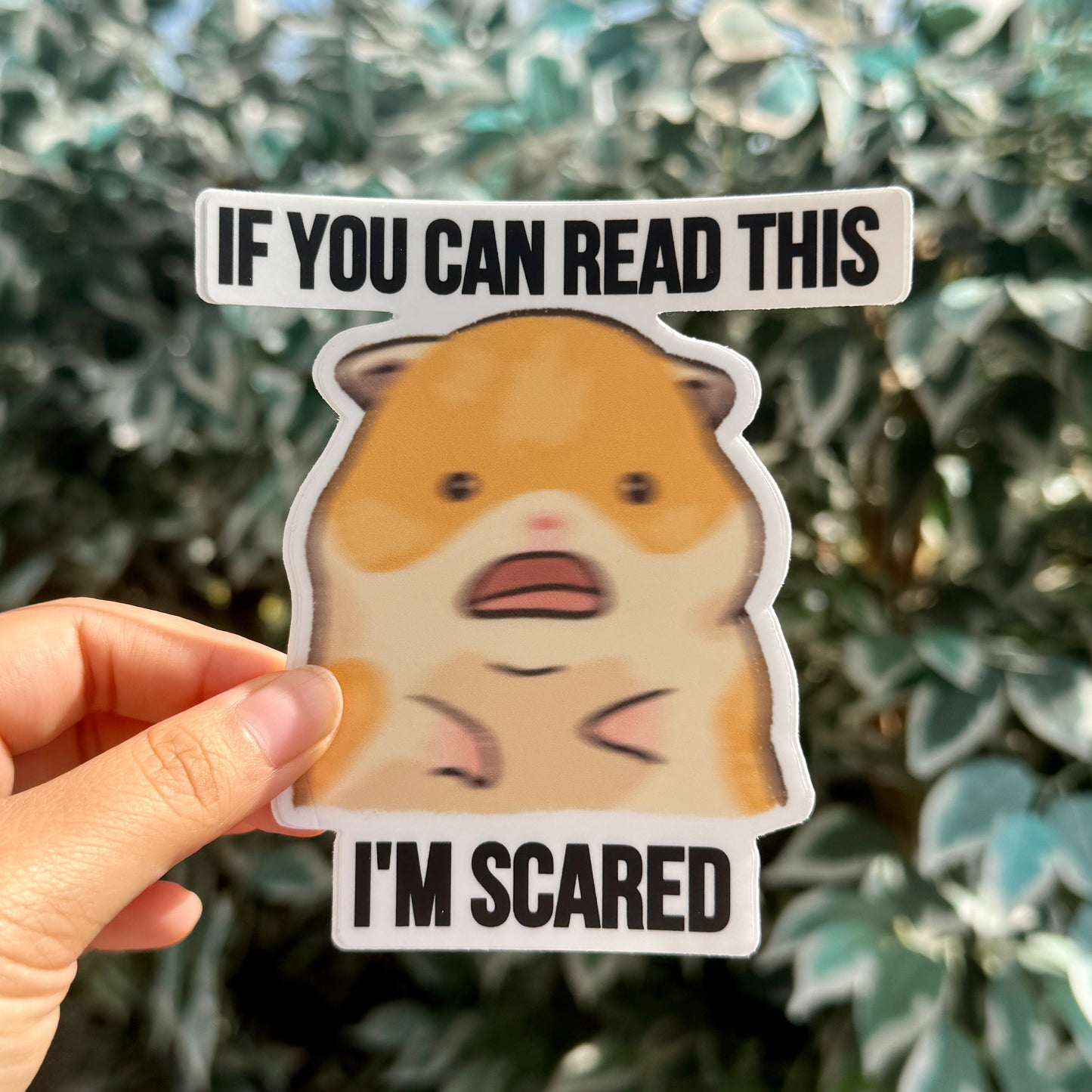 NEW [Weather & Water Proof] Cute Hamster Meme Bumper Sticker | Nervous Anxious | Student Driver | New Driver | Car Decal | Funny Car Sticker