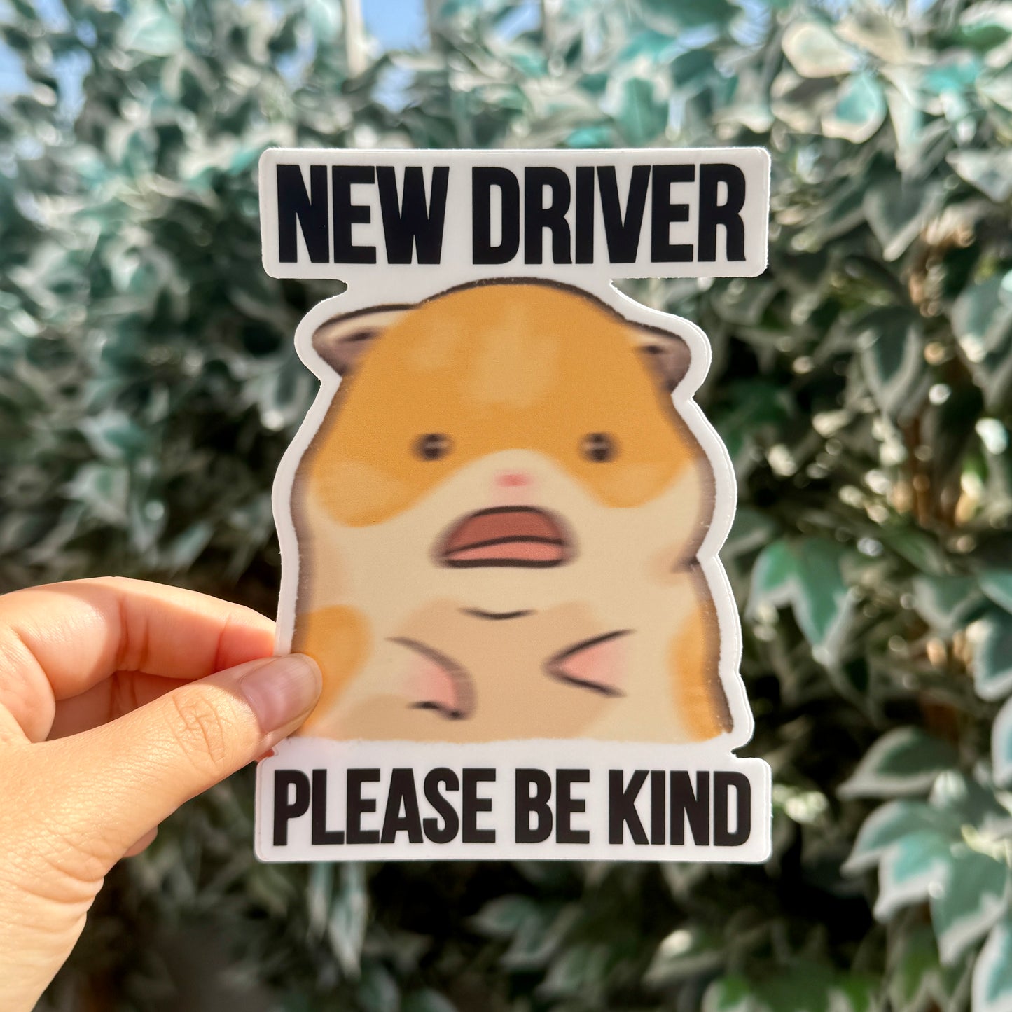 NEW [Weather & Water Proof] Cute Hamster Meme Bumper Sticker | Nervous Anxious | Student Driver | New Driver | Car Decal | Funny Car Sticker