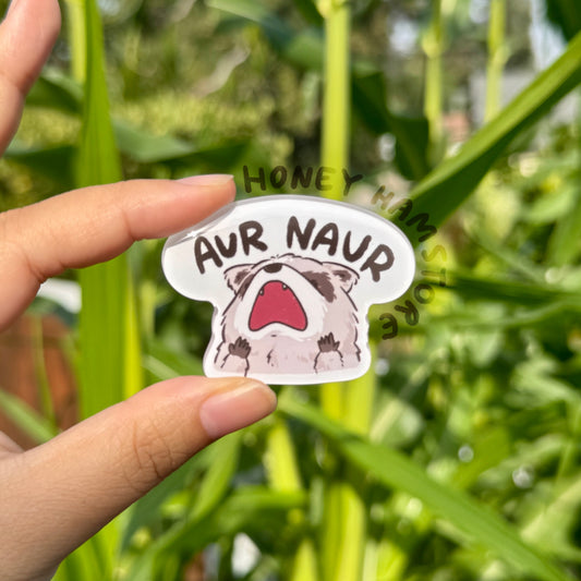 Raccoon Aur Naur | Funny Cute Acrylic Magnet | Gifts Under 10 | Novelty Accessory Joke Present | For Refrigerator Lockers File Cabinets