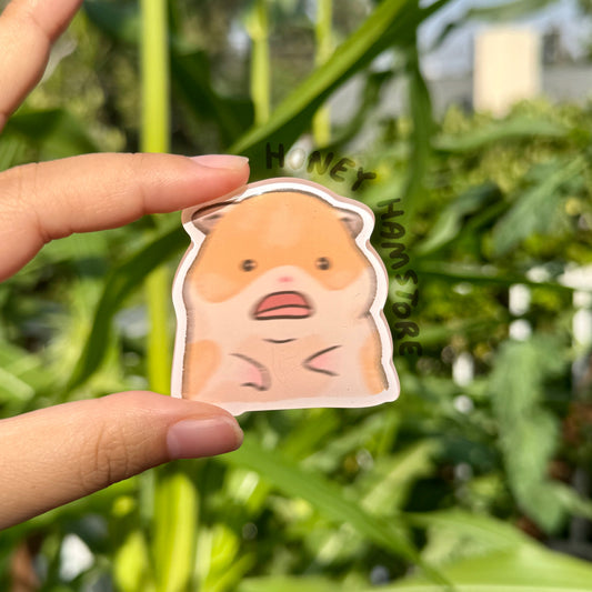 Hamster Scared/Scream | Funny Cute Acrylic Magnet | Gifts Under 10 | Novelty Accessory Joke Present | For Refrigerator Lockers File Cabinets