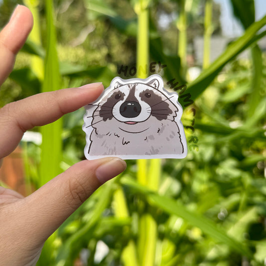 Raccoon Close Up | Funny Cute Acrylic Magnet | Gifts Under 10 | Novelty Accessory Joke Present | For Refrigerator Lockers File Cabinets