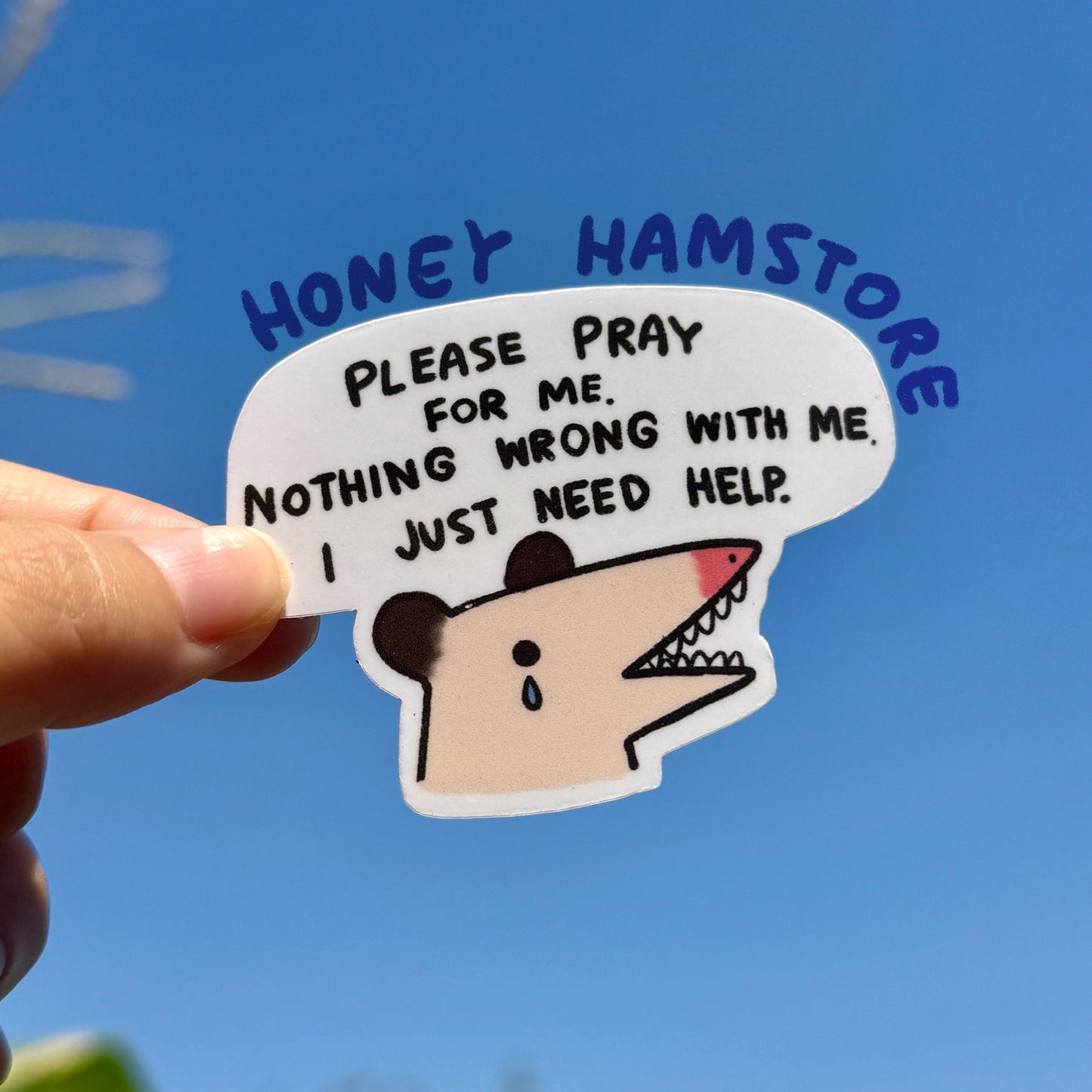 Pray For Me | Funny Joke Cute Sticker | Gifts under 10 | Water Resistant Sticker | Laptop Water Bottle Phone Case Decal For Her Him