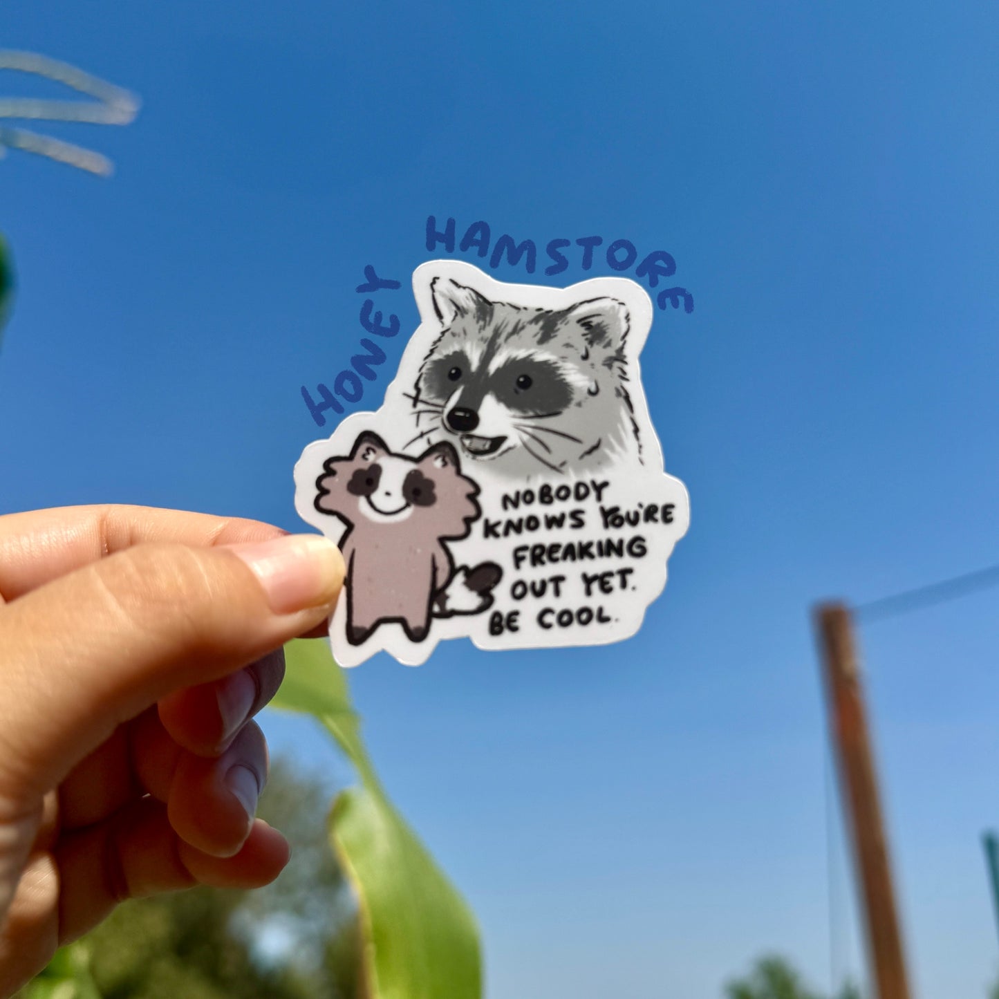 Nobody Knows You're Freaking Out Raccoon | Funny Sticker | Gifts under 10 | Water Resistant Sticker | Laptop Water Bottle Phone Case Decal