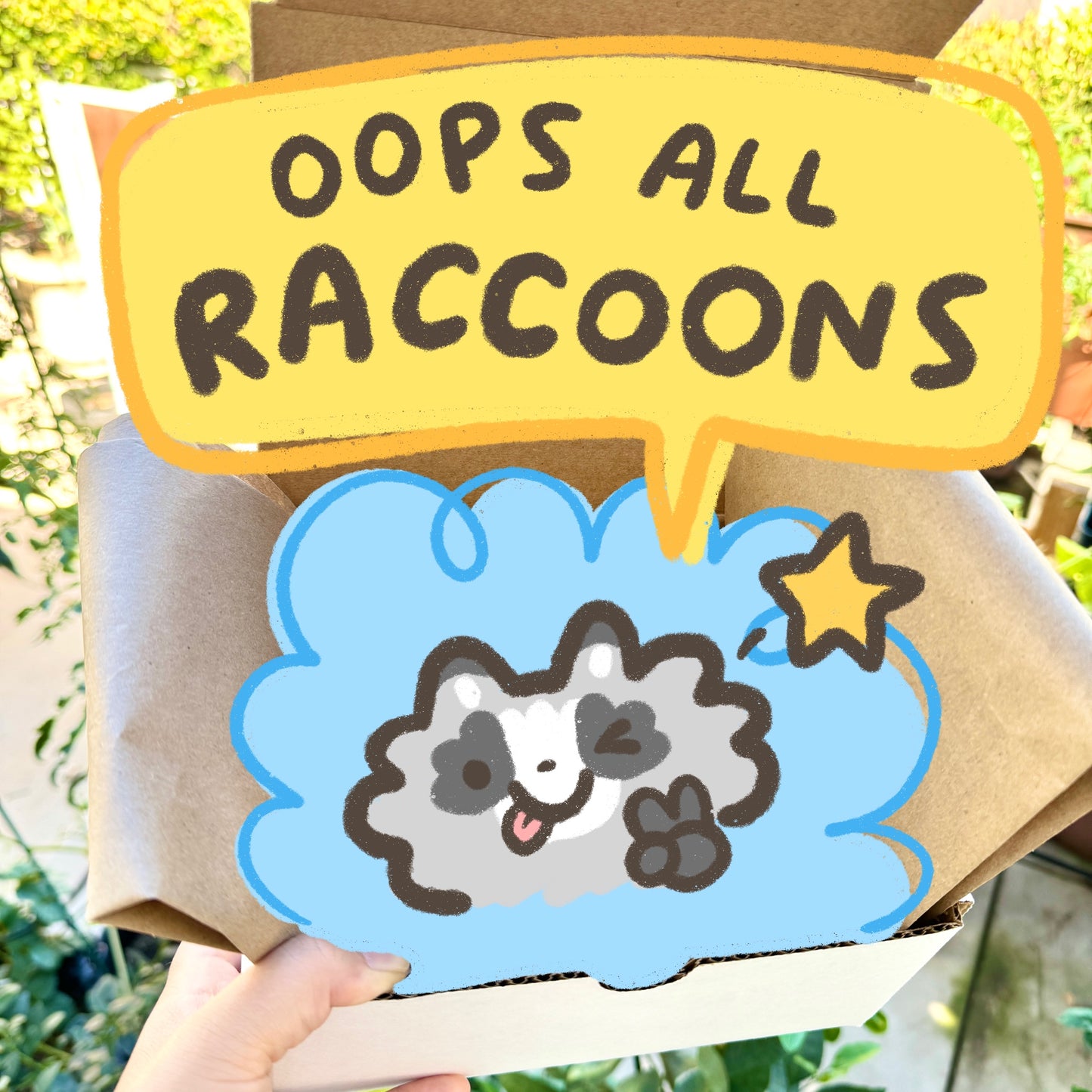 Oops All Raccoons Box Set Themed Bundle [27 Products]