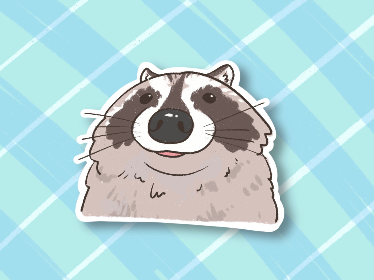 Raccoon Close Up Sticker