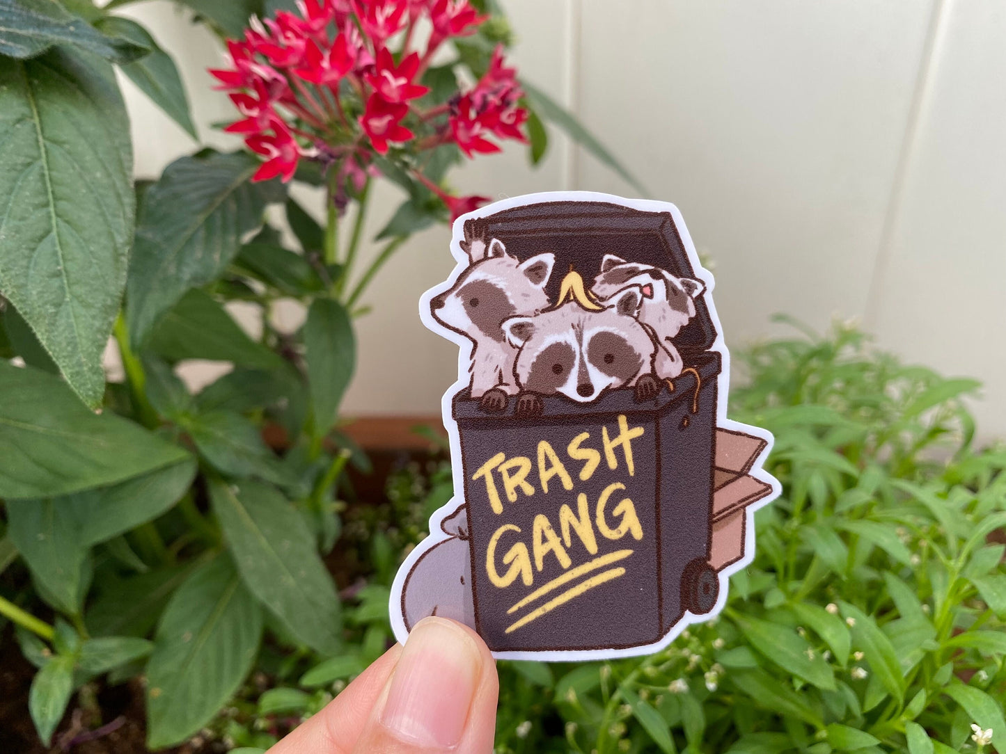 Raccoon Trash Gang Panda | Funny Sticker | Raccoon Sticker | Gifts under 10 | Water Resistant | Water Bottle Laptop Desk Notebook Phone Case