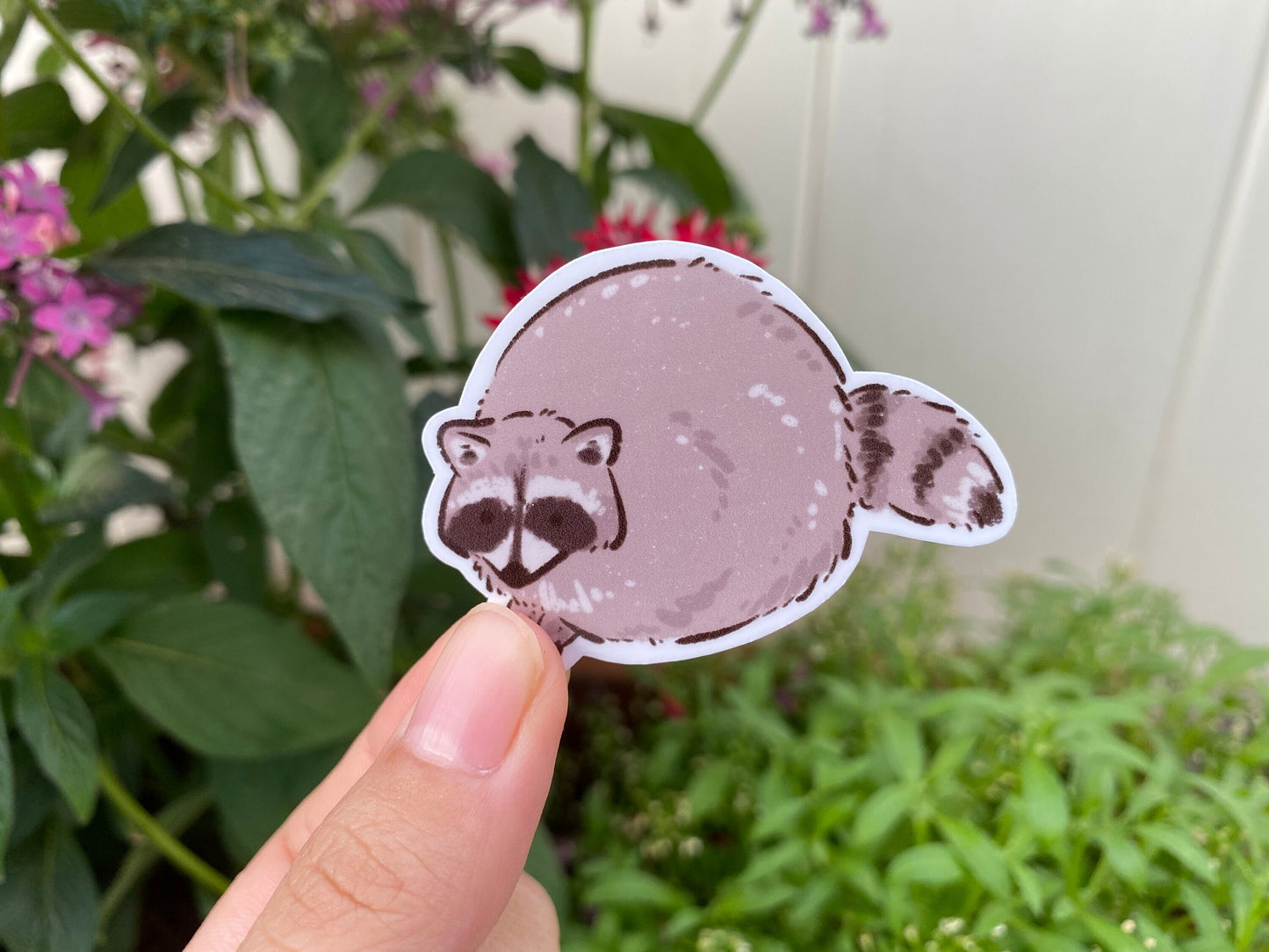 Cute Round Raccoon Sticker | Funny Sticker | Gifts under 10 | Water Resistant | For Water Bottle Laptop Desk Stationary Raccoon Lover