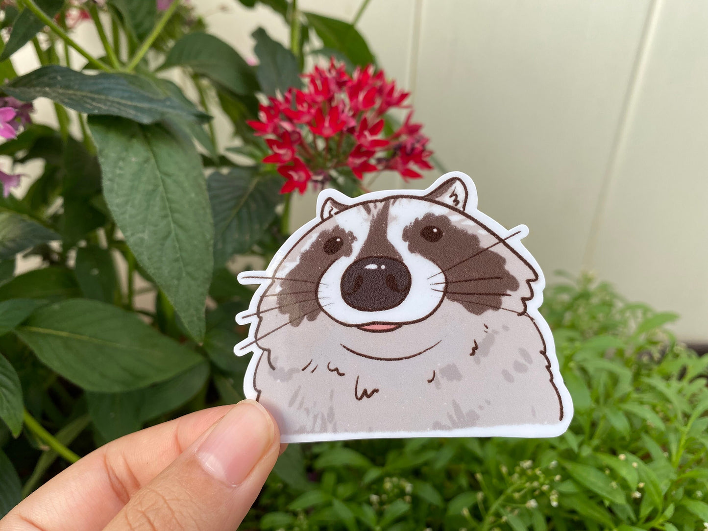 Raccoon Close Up | Funny Sticker | Raccoon Sticker | Gifts under 10 | Water Resistant Sticker Decal