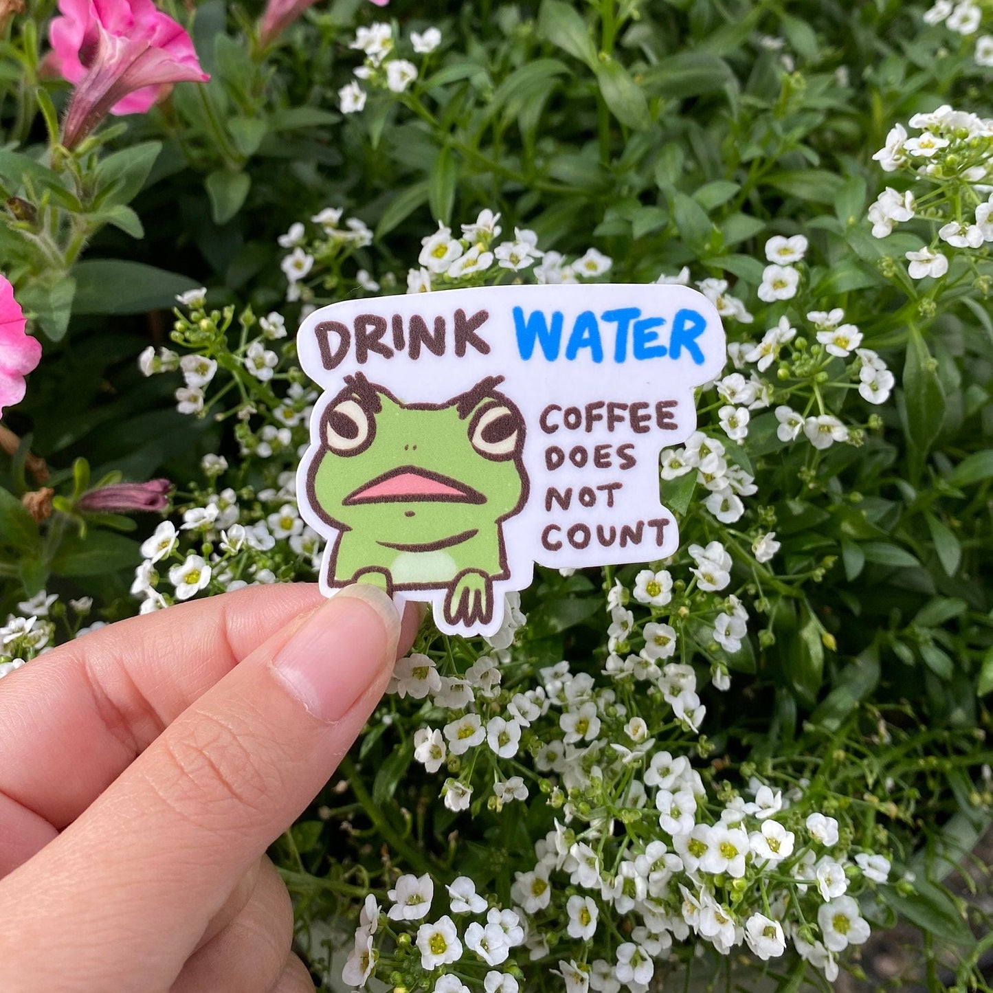 Frog Drink Water | Funny Sticker | Froggy Sticker | Gifts under 10 | Water Resistant Sticker Decal | Water Bottle | Laptop | Joke | Hydrate