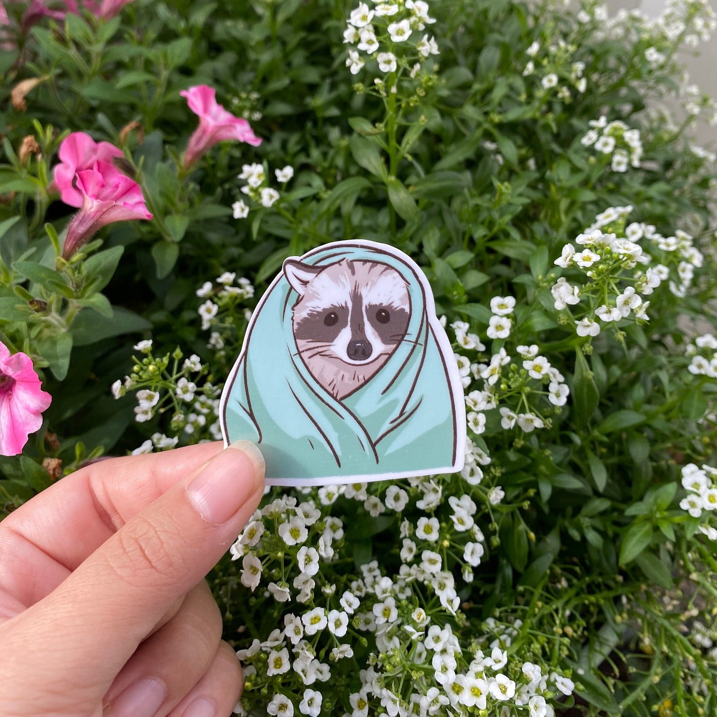 Raccoon Cold Blanket Sad Lonely Face | Funny Sticker | Raccoon Sticker | Gifts under 5 | Water Resistant Sticker Decal