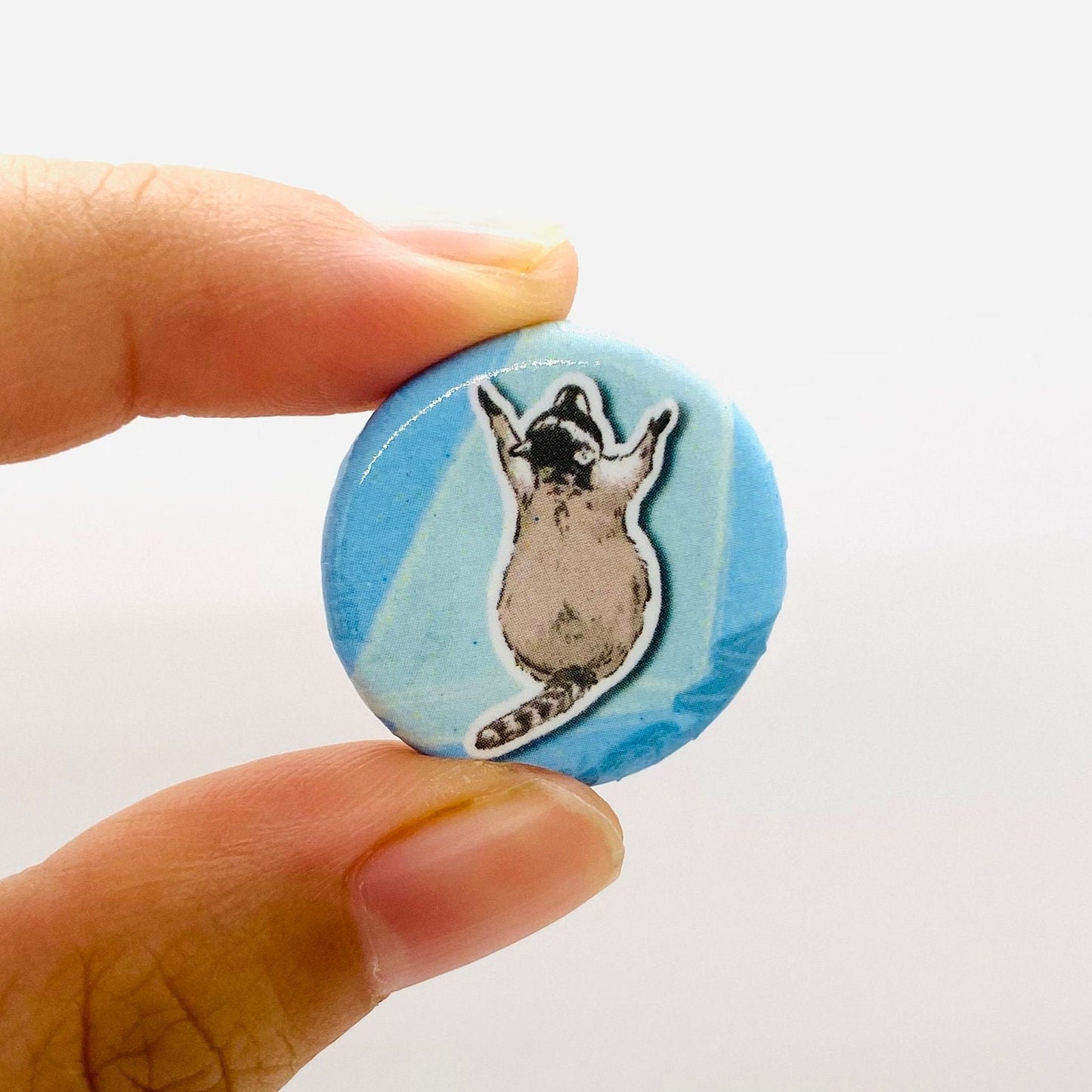 Raccoon Praising | Mini Round Pin | Kawaii Cute Pin | Gifts under 10 | For Him | For Her | Metal Round Pin | Backpack | Bag