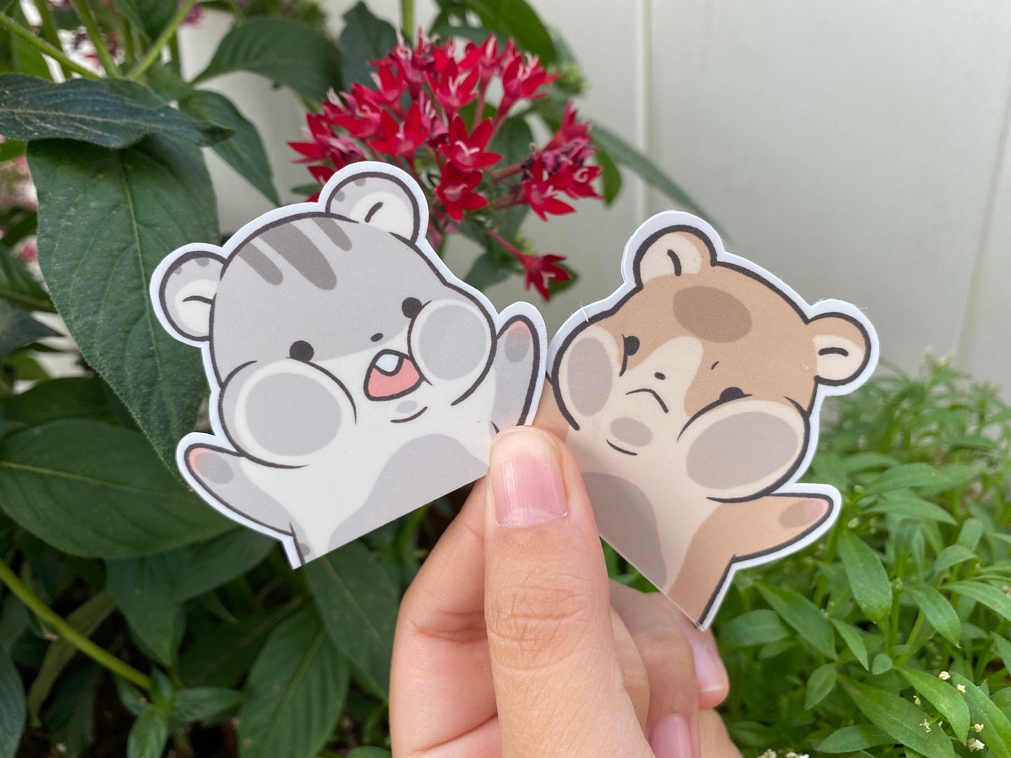 Peeking Hamster | Cute Face Squish | Funny Cute Hamster Sticker | Water Resistant | Laminated | Water Bottle Sticker | Laptop Sticker Decal