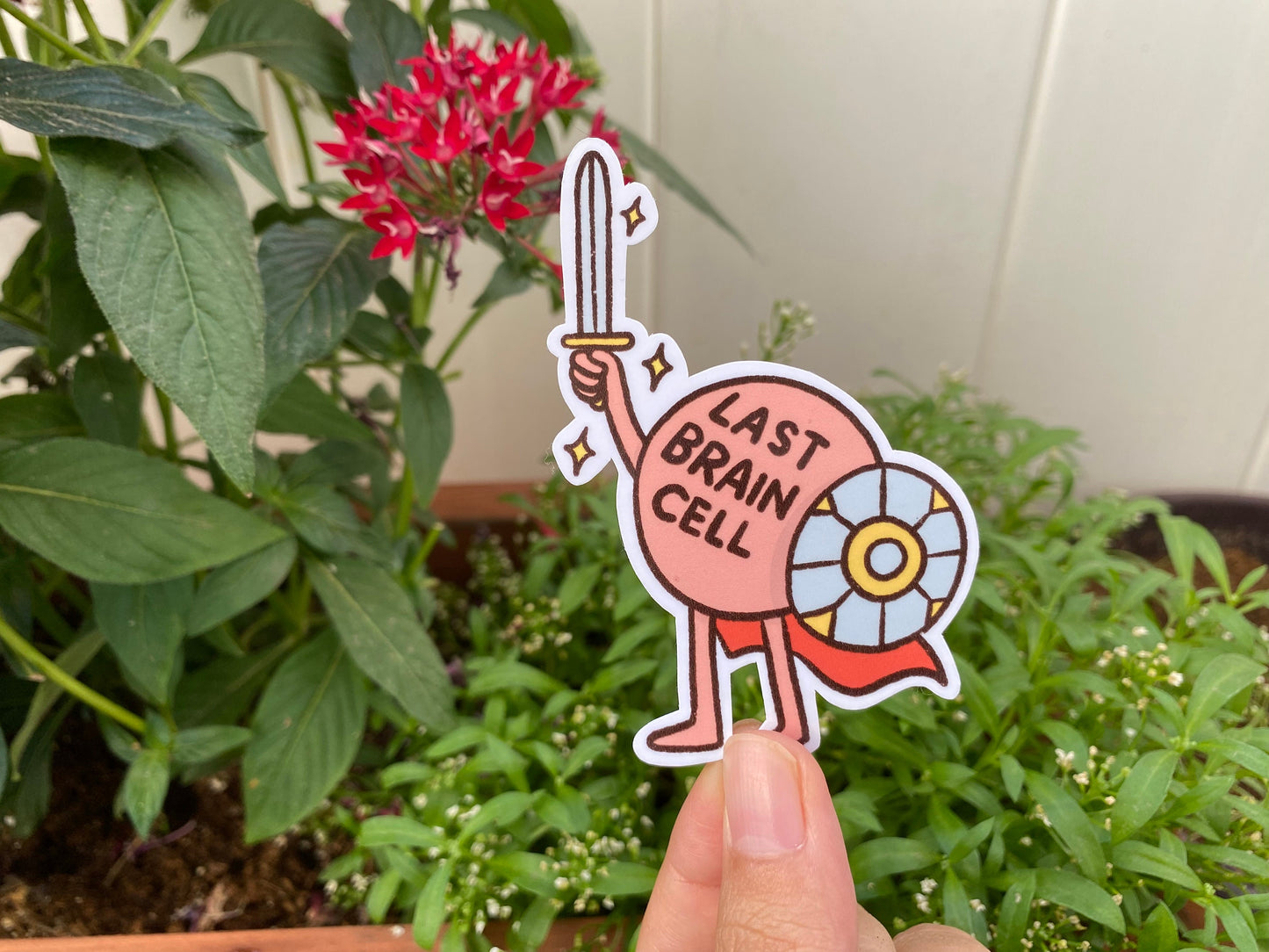 Last Brain Cell Laminated Sticker | Funny Meme Sticker | Gifts Under 5 | Cute Laptop Sticker