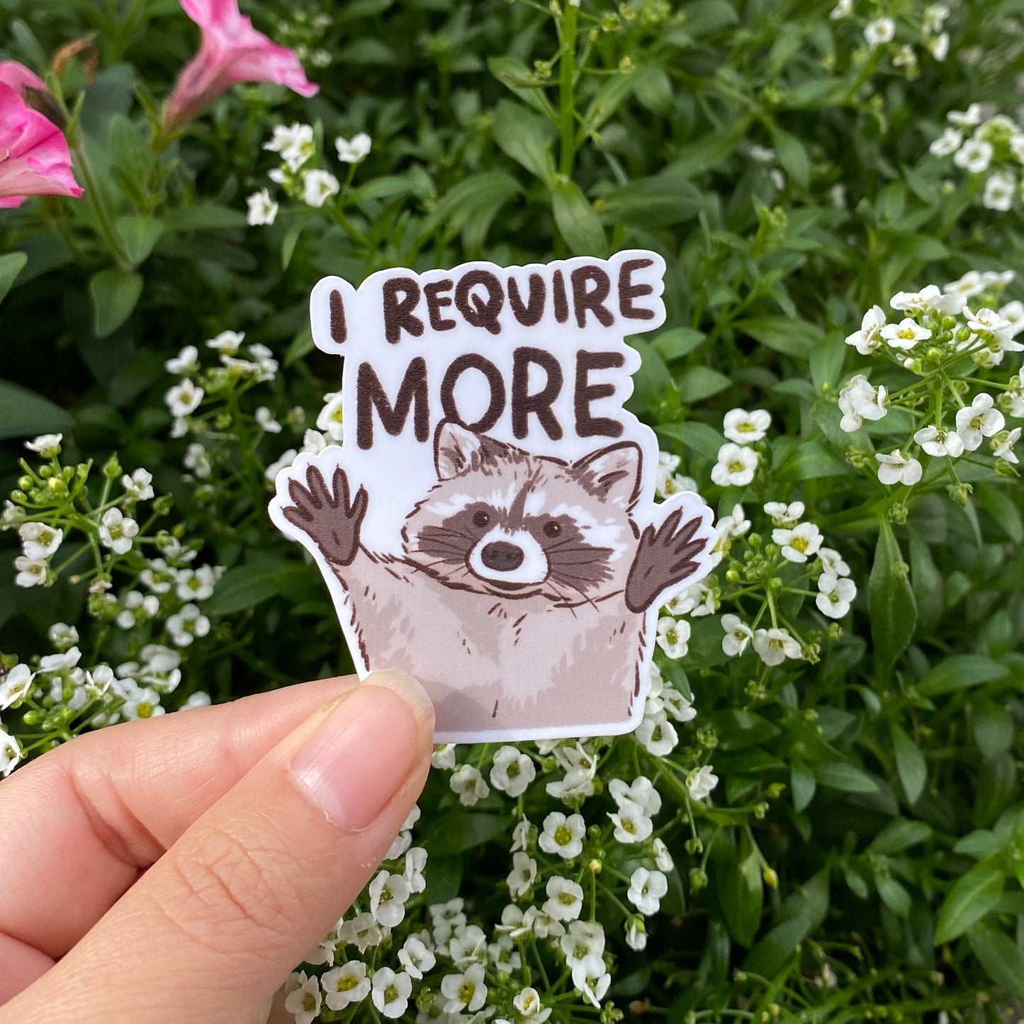 Raccoon Cute I Require More | Needy Raccoon | Funny Sticker | Raccoon Sticker | Gifts under 5 | Water Resistant Sticker Decal