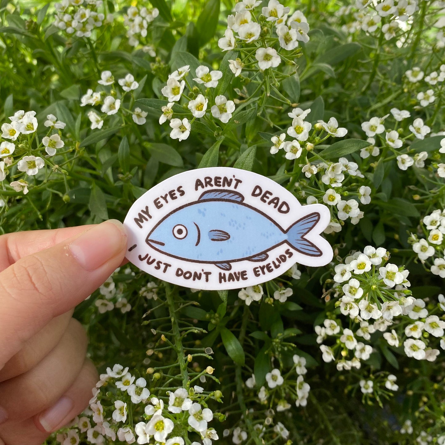 Fish with Alive Eyes Sticker | Funny Sticker | Gifts under 10 | Water Resistant Sticker | Water Bottle | Joke | Laptop