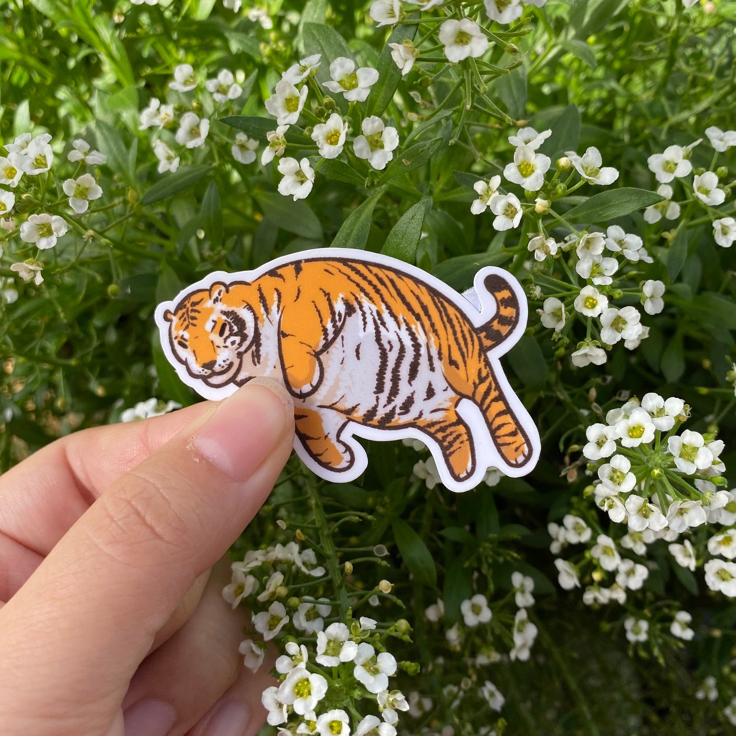 Chonk Tiger Sticker | Funny Joke Sticker | Gifts under 10 | Water Resistant Sticker | Water Bottle Laptop Cell Phone Case | Cute Sticker