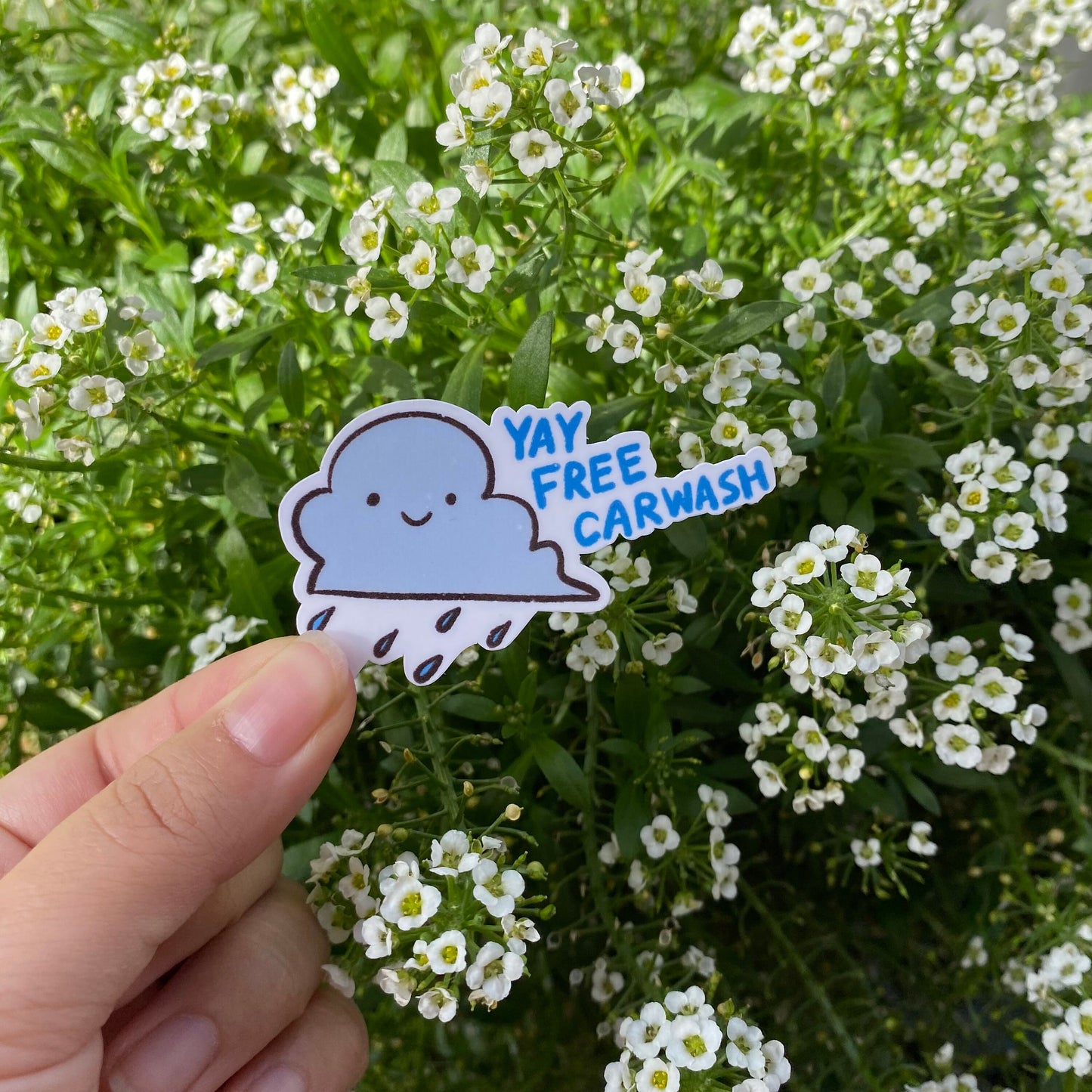 Weather Report Sticker | Positive Vibe | College Student | Optimistic | Nice | Good Mood Sticker | Gifts under 5 | Water Resistant Sticker
