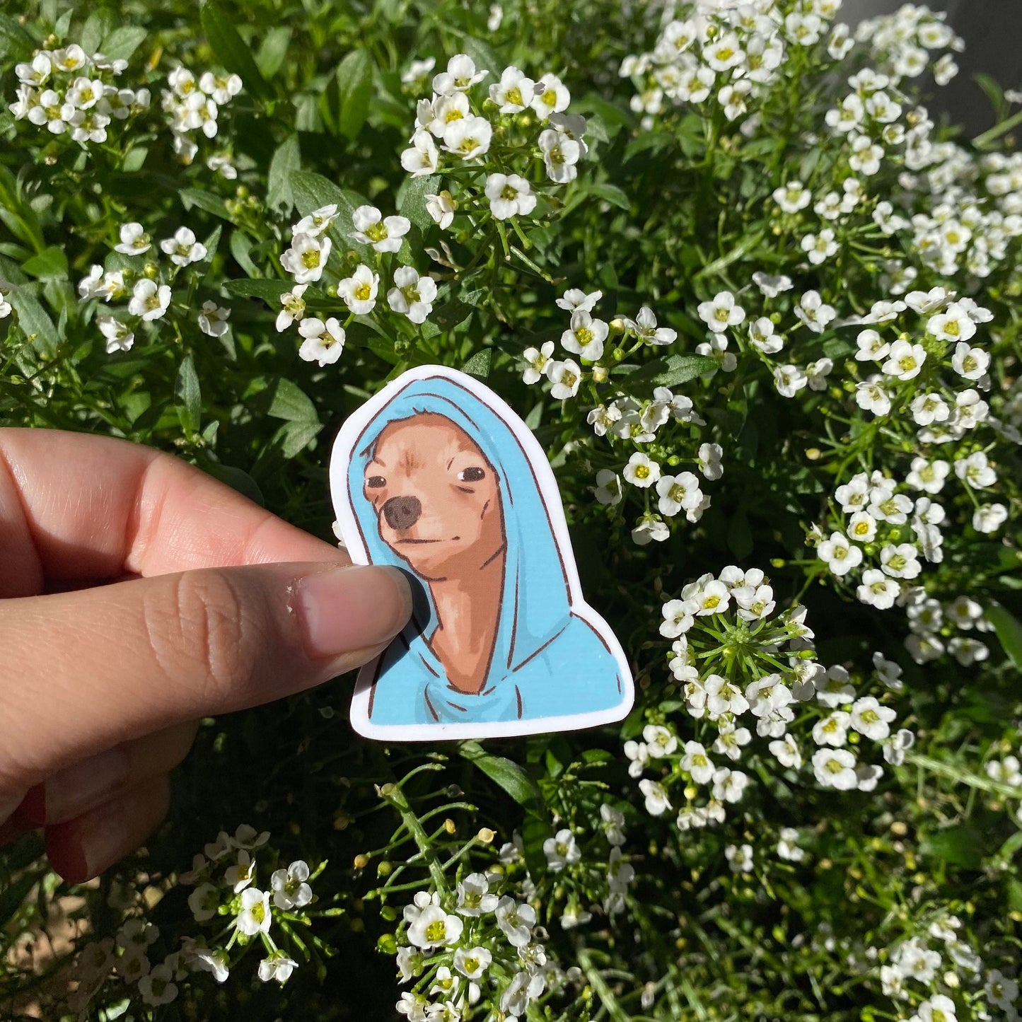 Dog Meme set of 5 Sticker | Series 1 | Funny Sticker | Gifts under 10 | Water Resistant Sticker | Water Bottle | Joke | Laptop | Cute