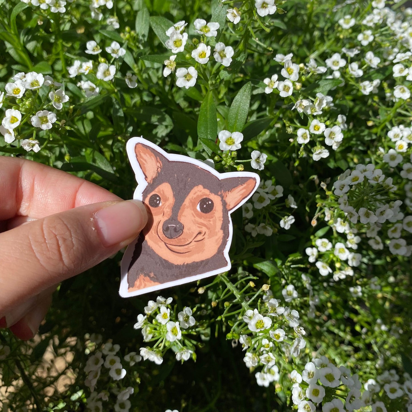 Dog Meme set of 5 Sticker | Series 1 | Funny Sticker | Gifts under 10 | Water Resistant Sticker | Water Bottle | Joke | Laptop | Cute