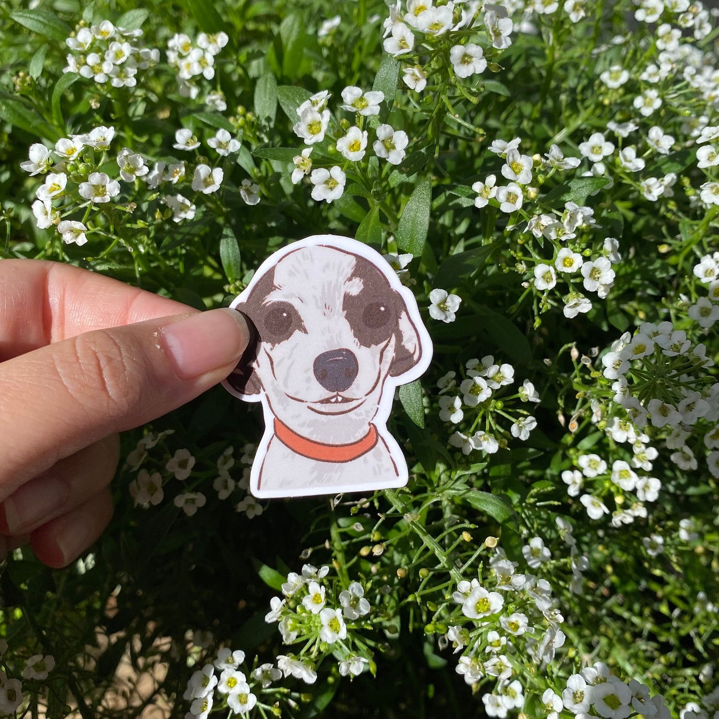 Dog Meme set of 5 Sticker | Series 1 | Funny Sticker | Gifts under 10 | Water Resistant Sticker | Water Bottle | Joke | Laptop | Cute