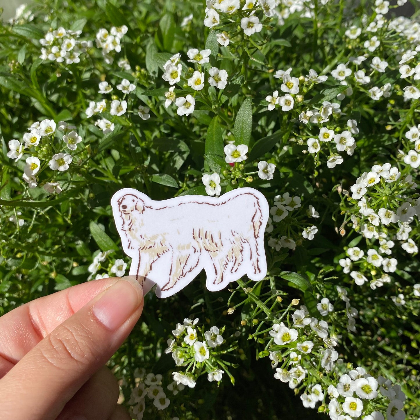 Dog Meme set of 5 Sticker | Series 1 | Funny Sticker | Gifts under 10 | Water Resistant Sticker | Water Bottle | Joke | Laptop | Cute