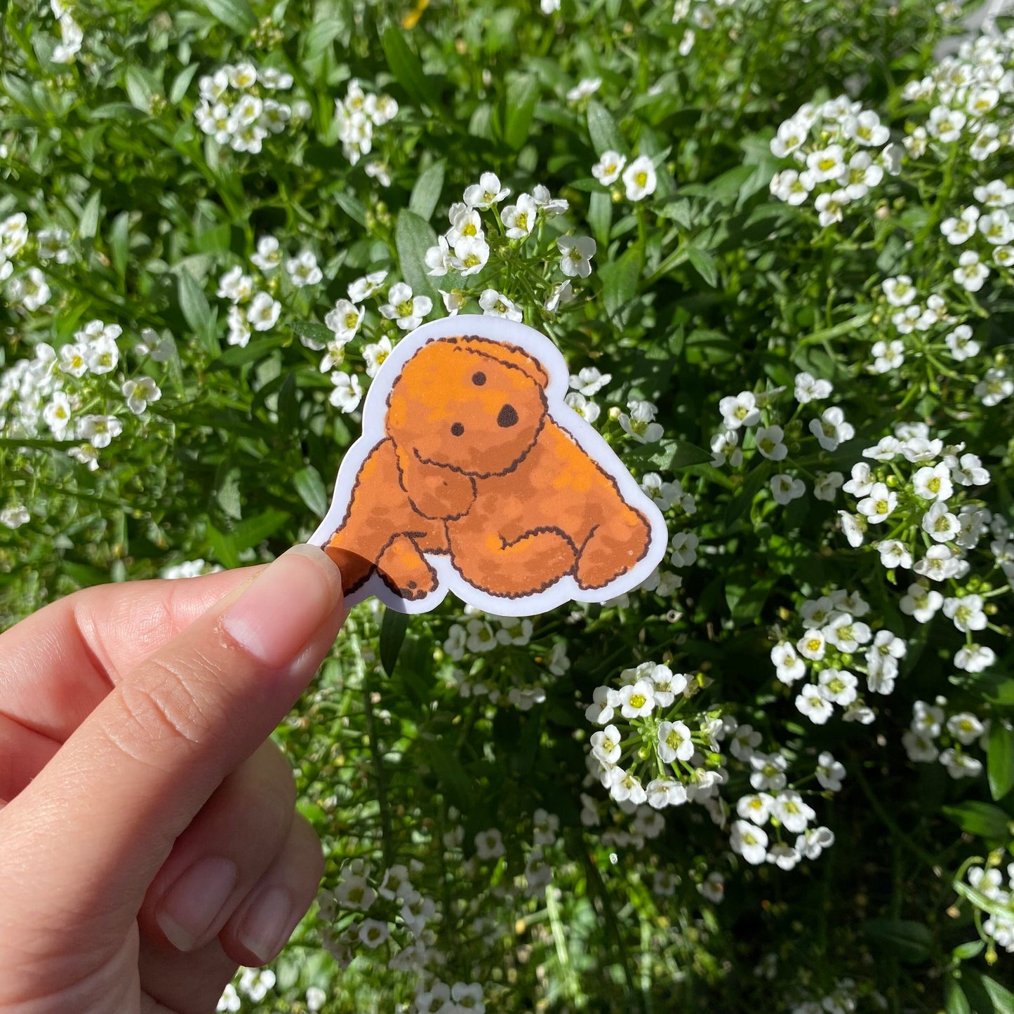 Labradoodle or Fried Chicken Set | Funny Sticker | Gifts under 10 | Water Resistant Sticker | Water Bottle | Joke | Laptop | Cute Sticker