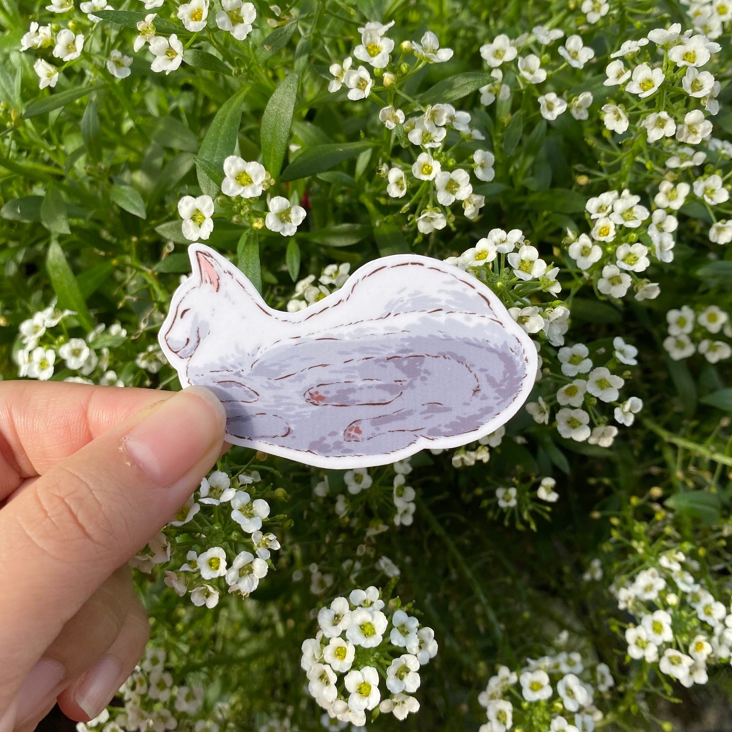 Hover Cat Meme | Funny Cute Sticker | Cat Kitten Decal | Water Bottle | Laptop Sticker | Gifts Under 5 | For Him | For Her | Water Resistant