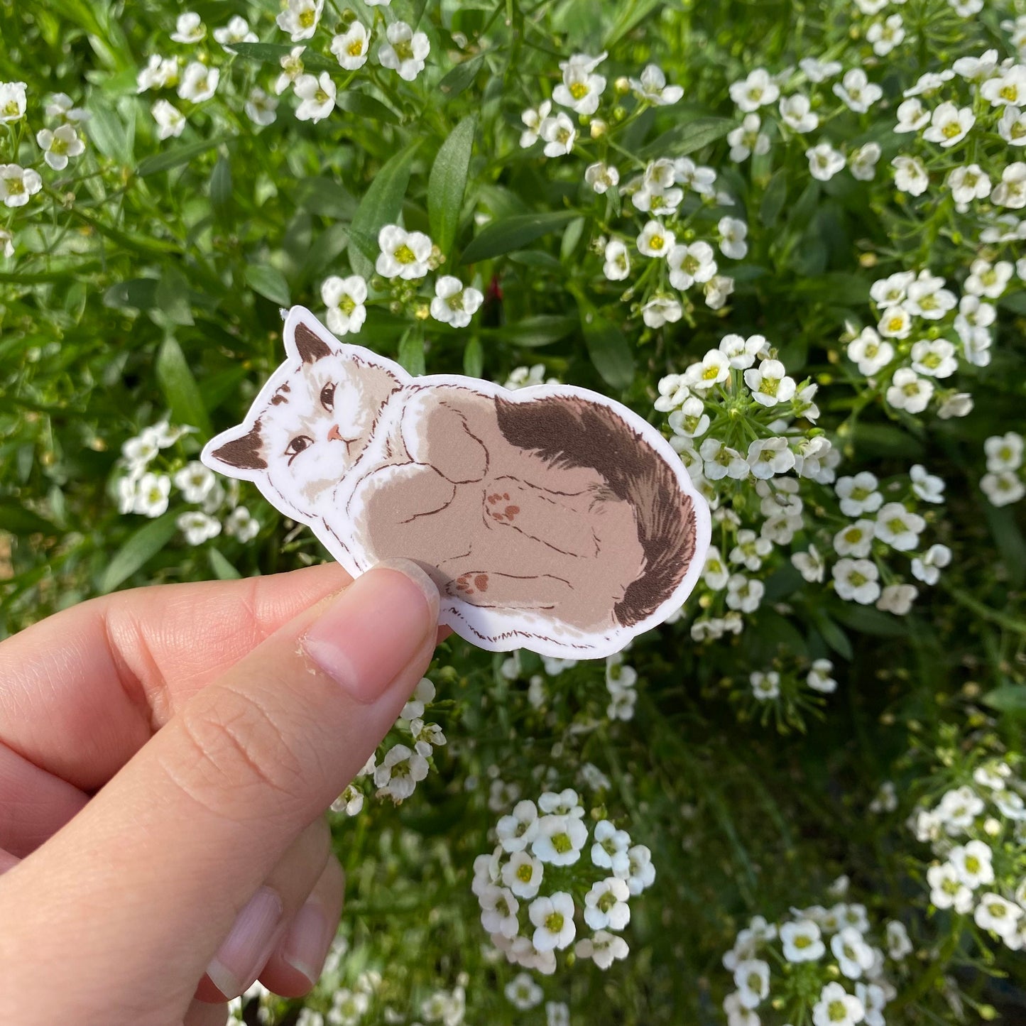 Hover Cat Meme | Funny Cute Sticker | Cat Kitten Decal | Water Bottle | Laptop Sticker | Gifts Under 5 | For Him | For Her | Water Resistant