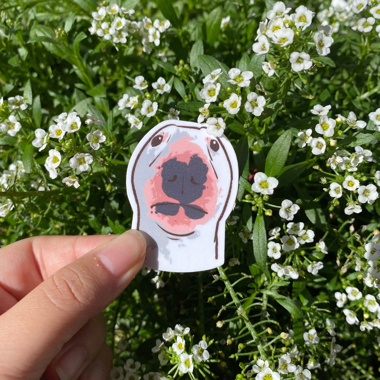 Staring Dog Sticker | Funny Meme Sticker | Gifts under 10 | Water Resistant Sticker | Water Bottle | Joke | Laptop | Cute Sticker