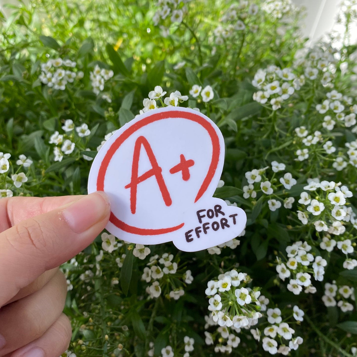 A+ for Effort Sticker | Funny Sticker | Gifts under 10 | Water Resistant Sticker | Water Bottle | Joke | Laptop | School Optimistic Sticker