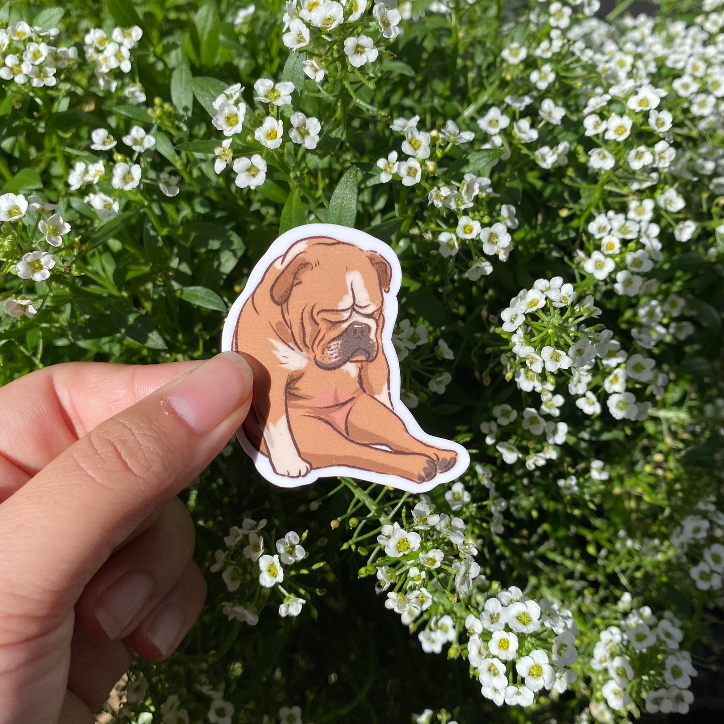 Dog Meme set of 5 Sticker | Series 1 | Funny Sticker | Gifts under 10 | Water Resistant Sticker | Water Bottle | Joke | Laptop | Cute